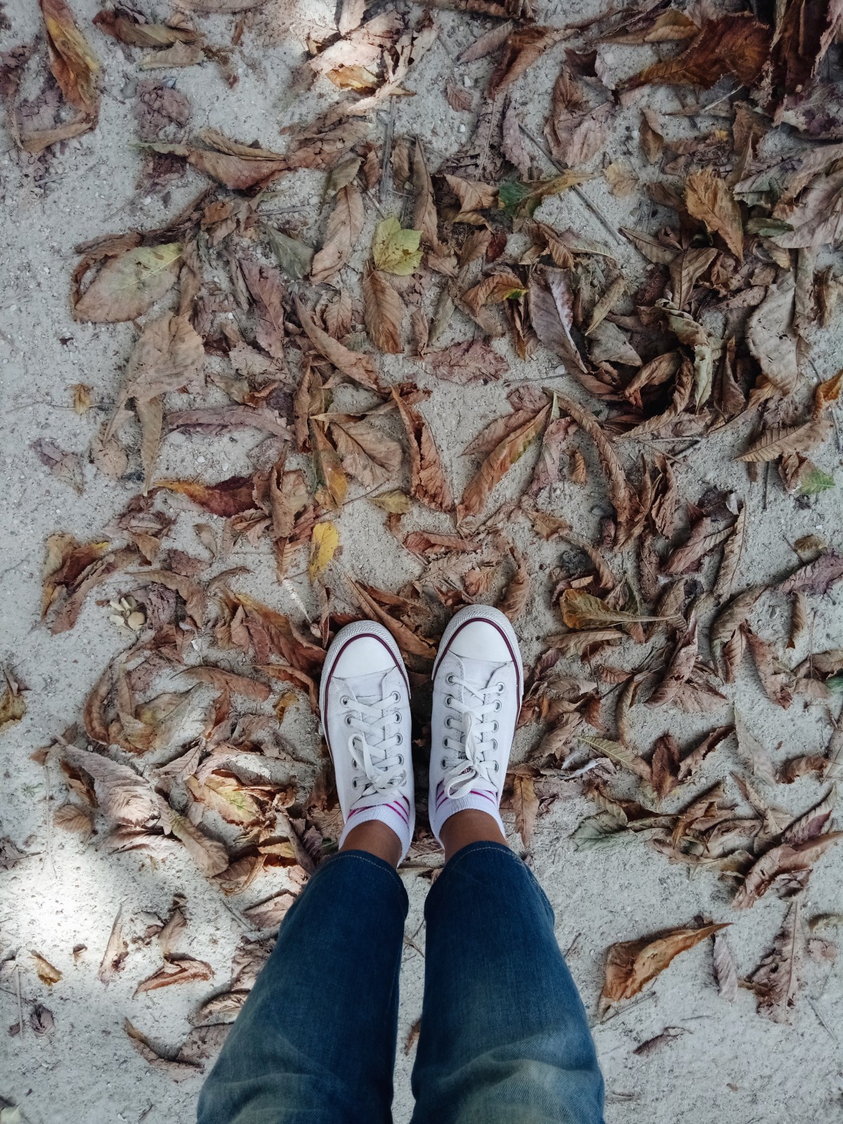 Processed with VSCO with a6 preset