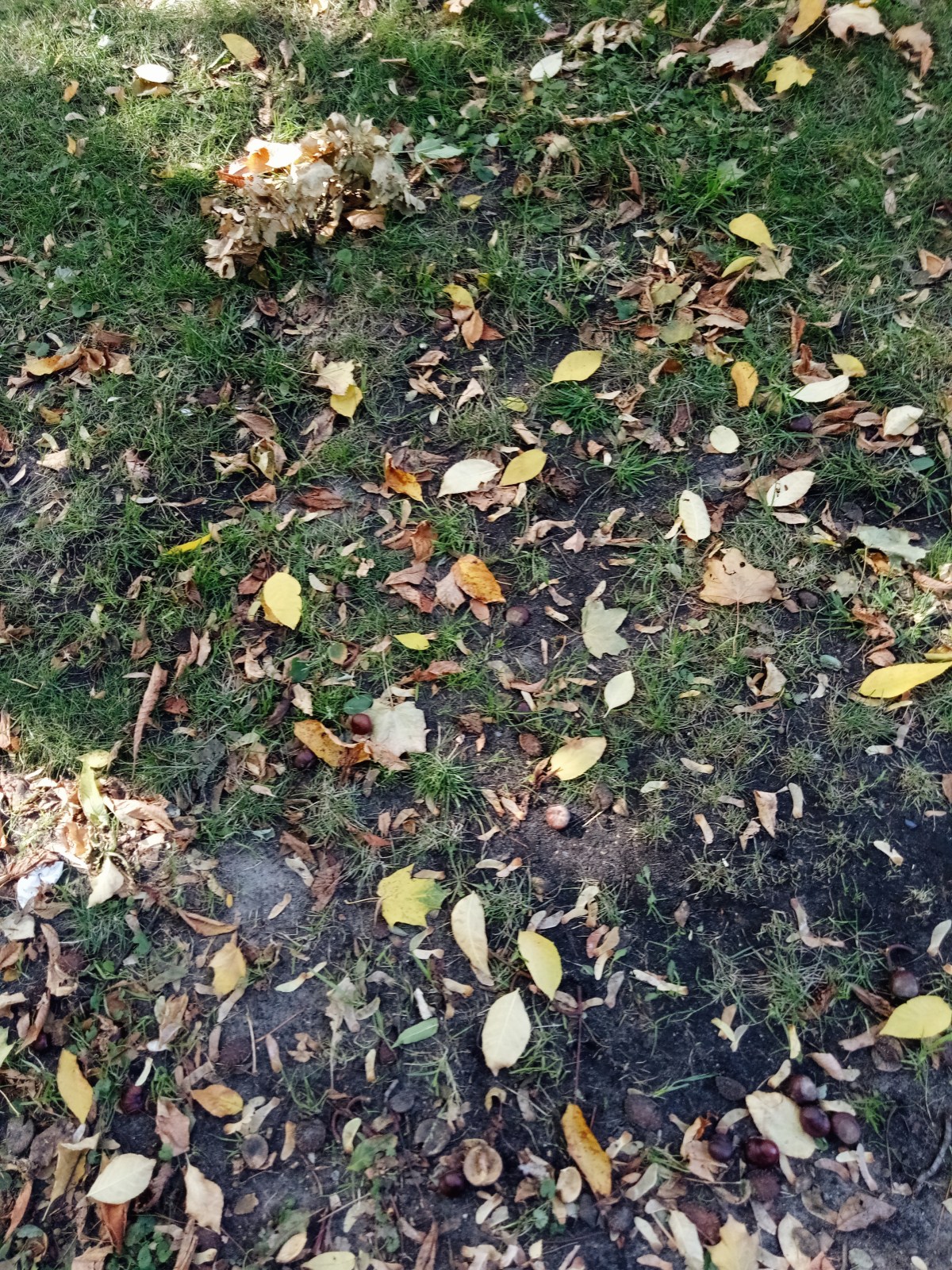 Processed with VSCO with a6 preset