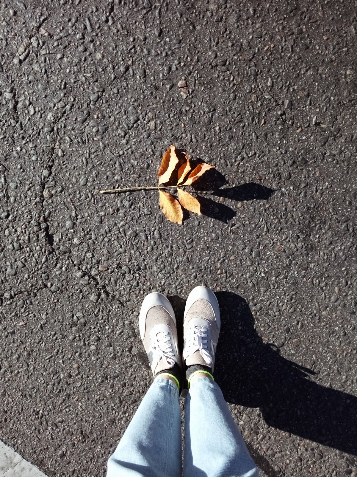 Processed with VSCO with a4 preset