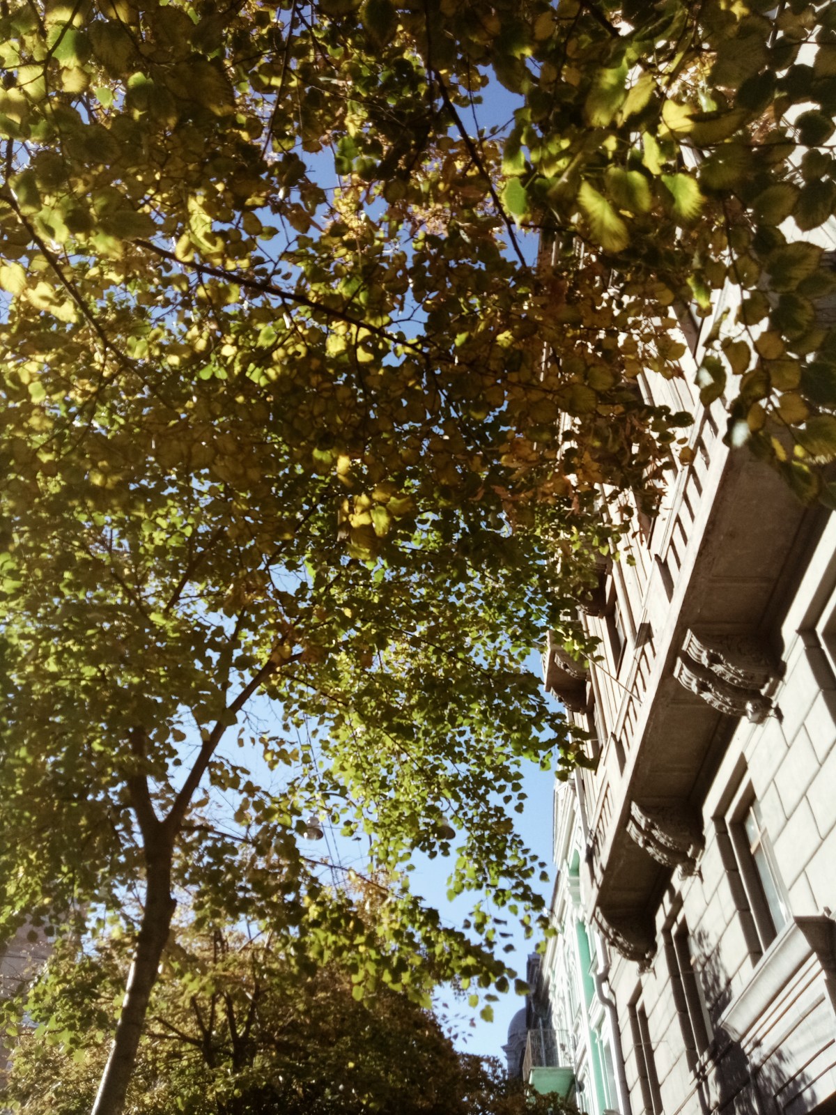 Processed with VSCO with a4 preset