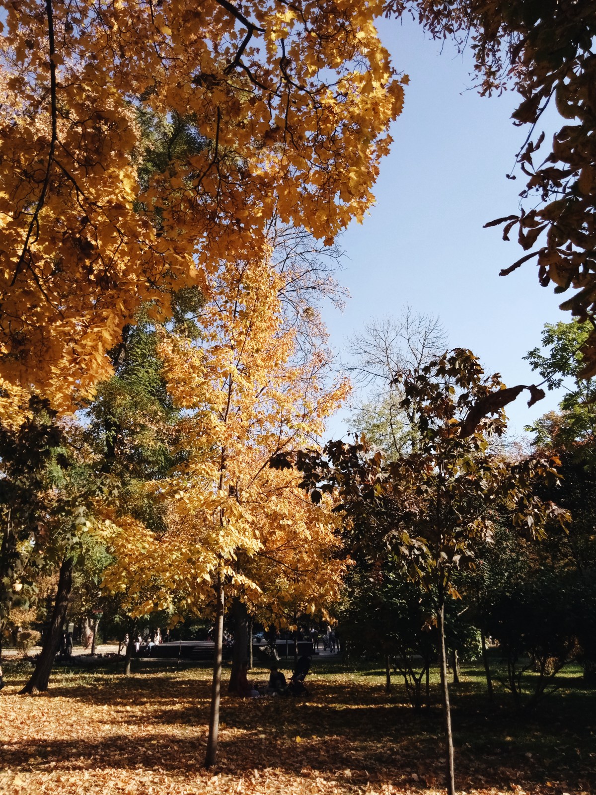 Processed with VSCO with a6 preset