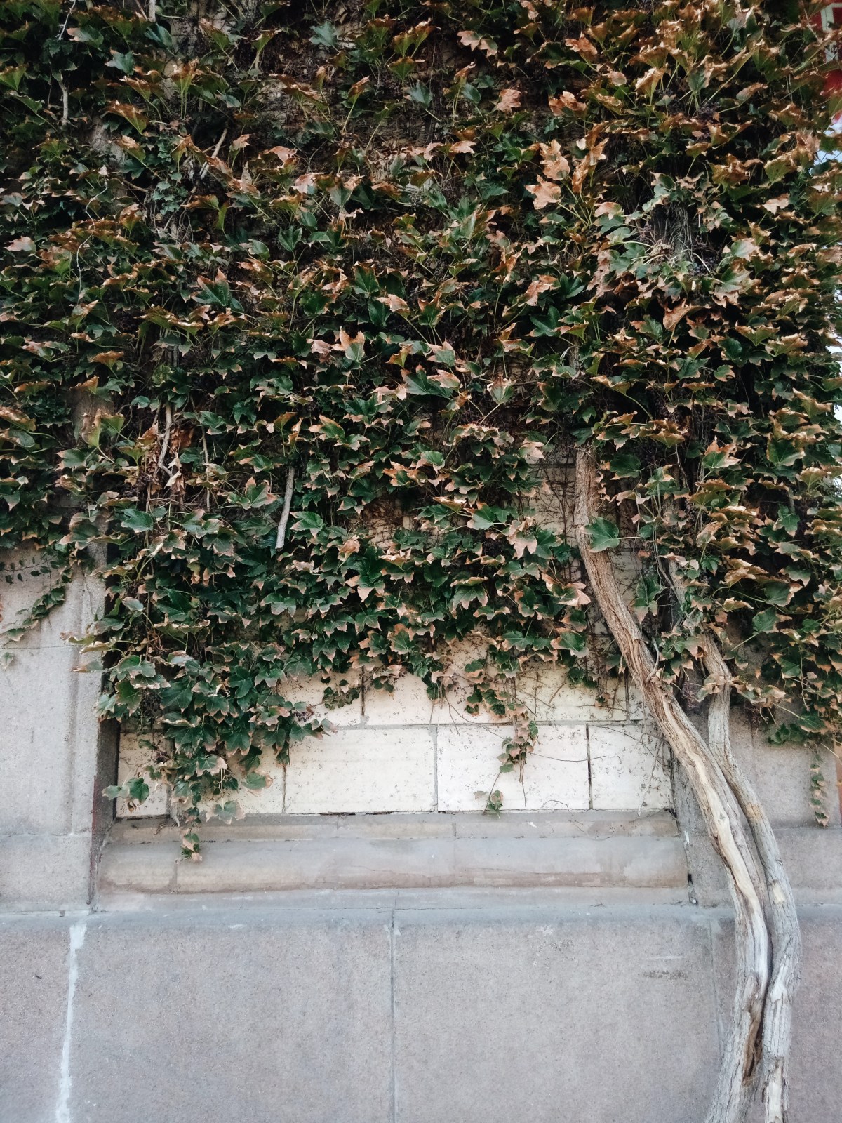 Processed with VSCO with a6 preset