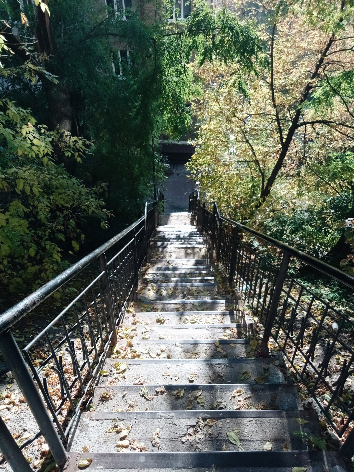 Processed with VSCO with a6 preset