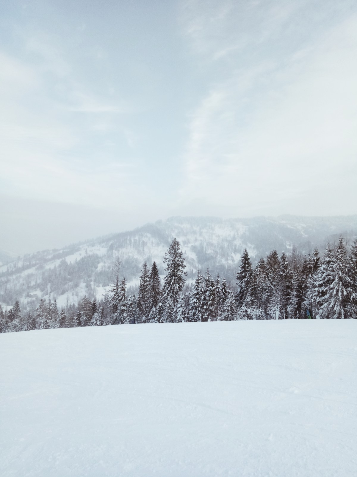 Processed with VSCO with a4 preset