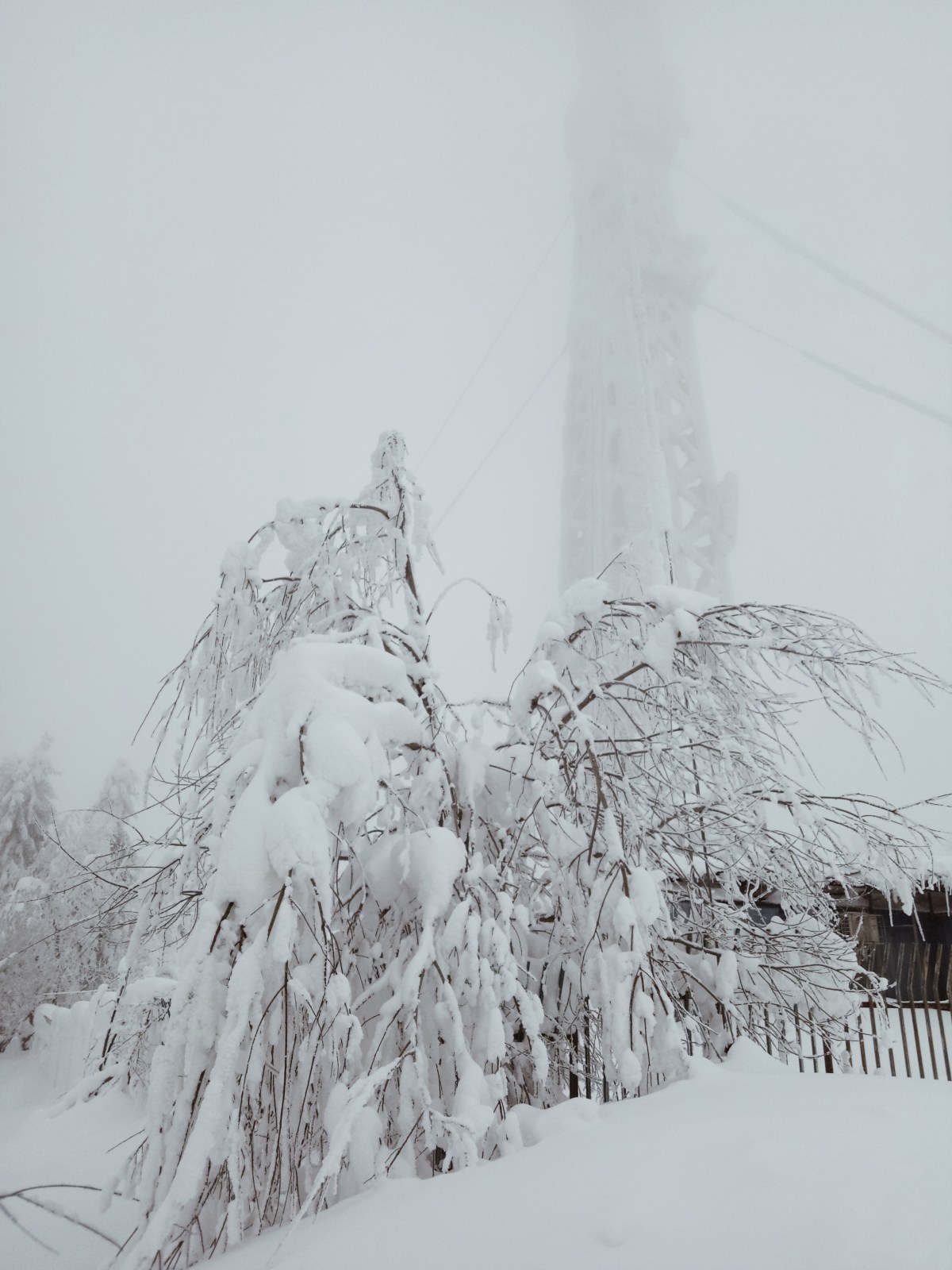 Processed with VSCO with a4 preset