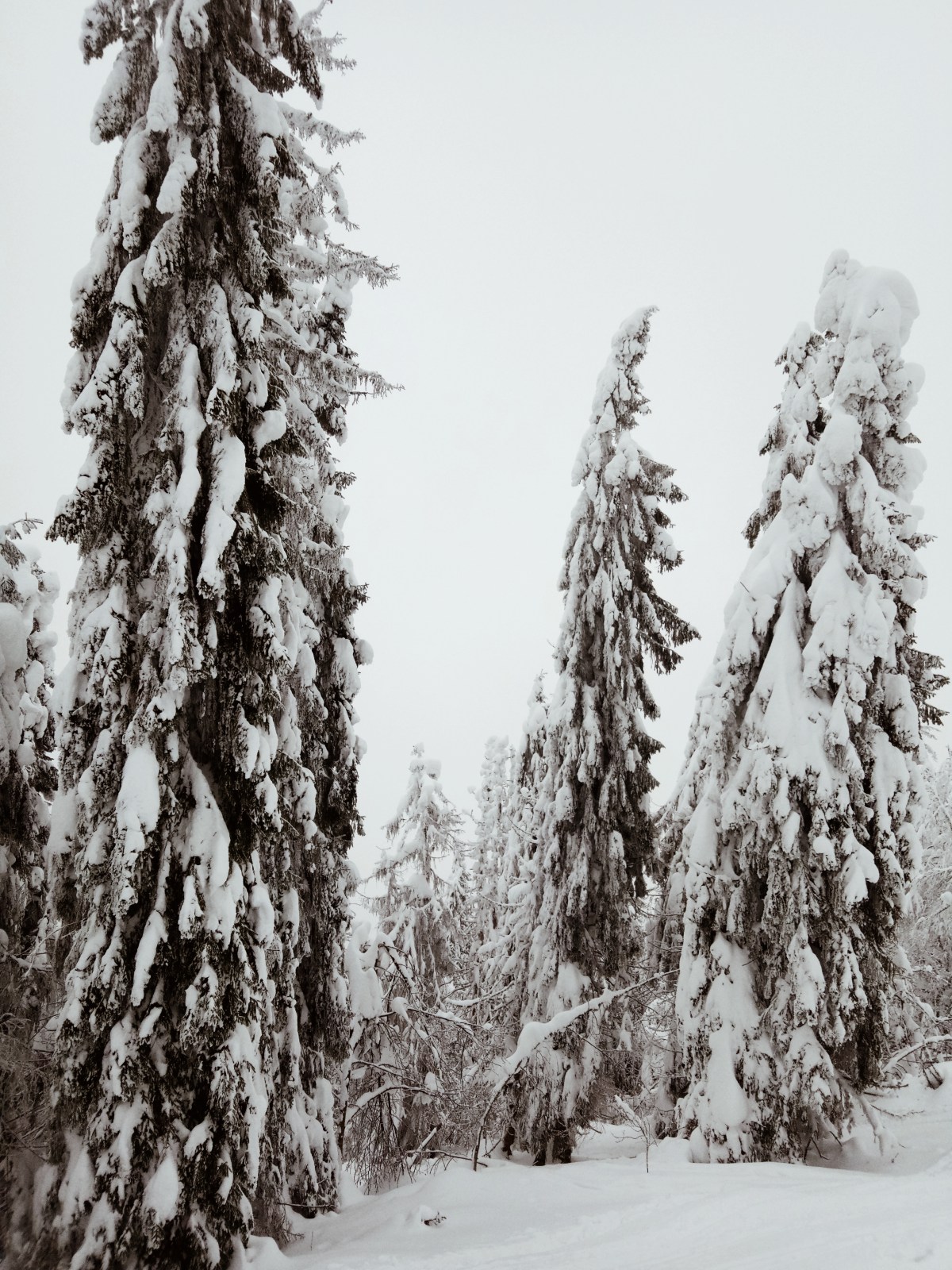 Processed with VSCO with a4 preset