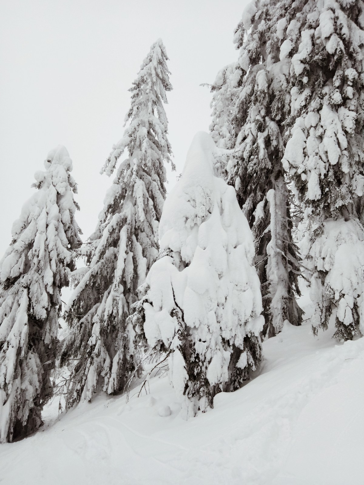 Processed with VSCO with a4 preset