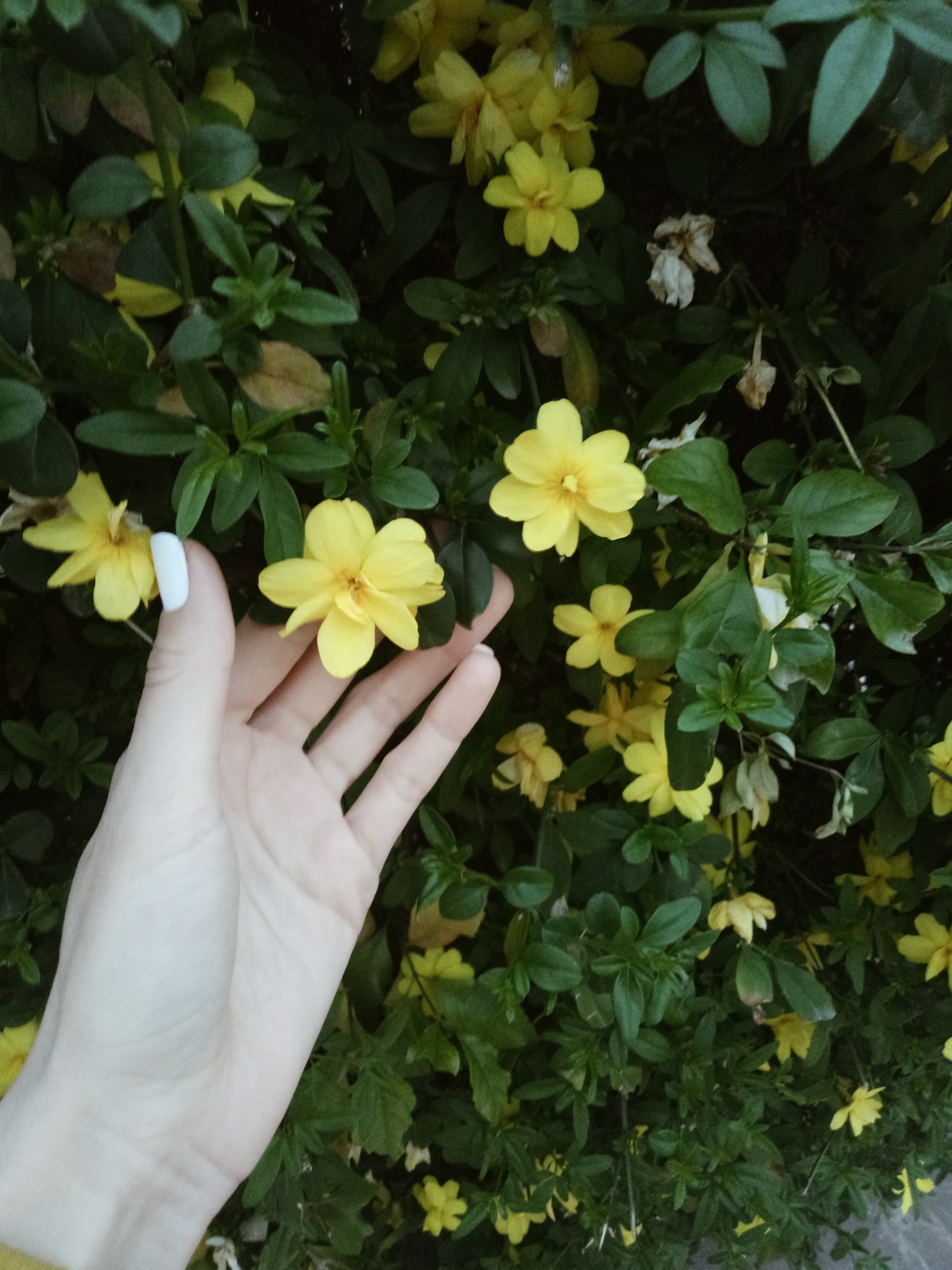 Processed with VSCO with a4 preset