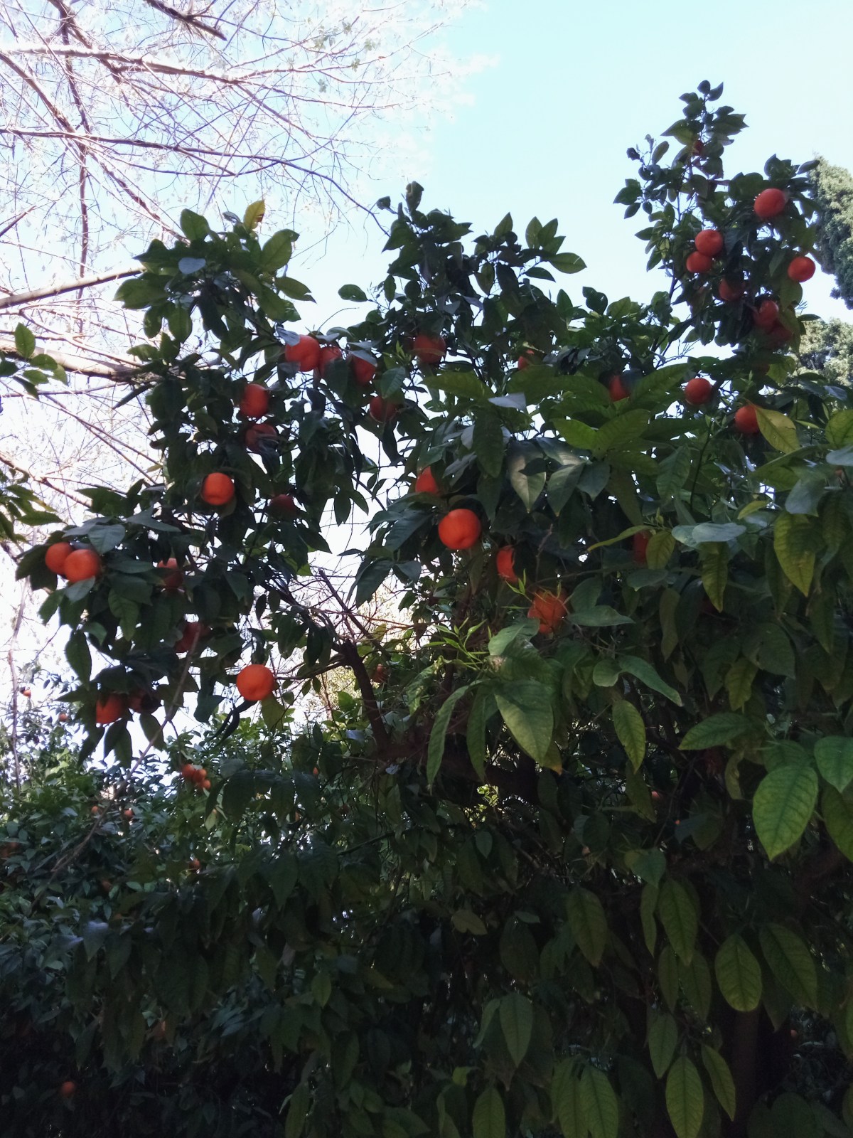 Processed with VSCO with a6 preset