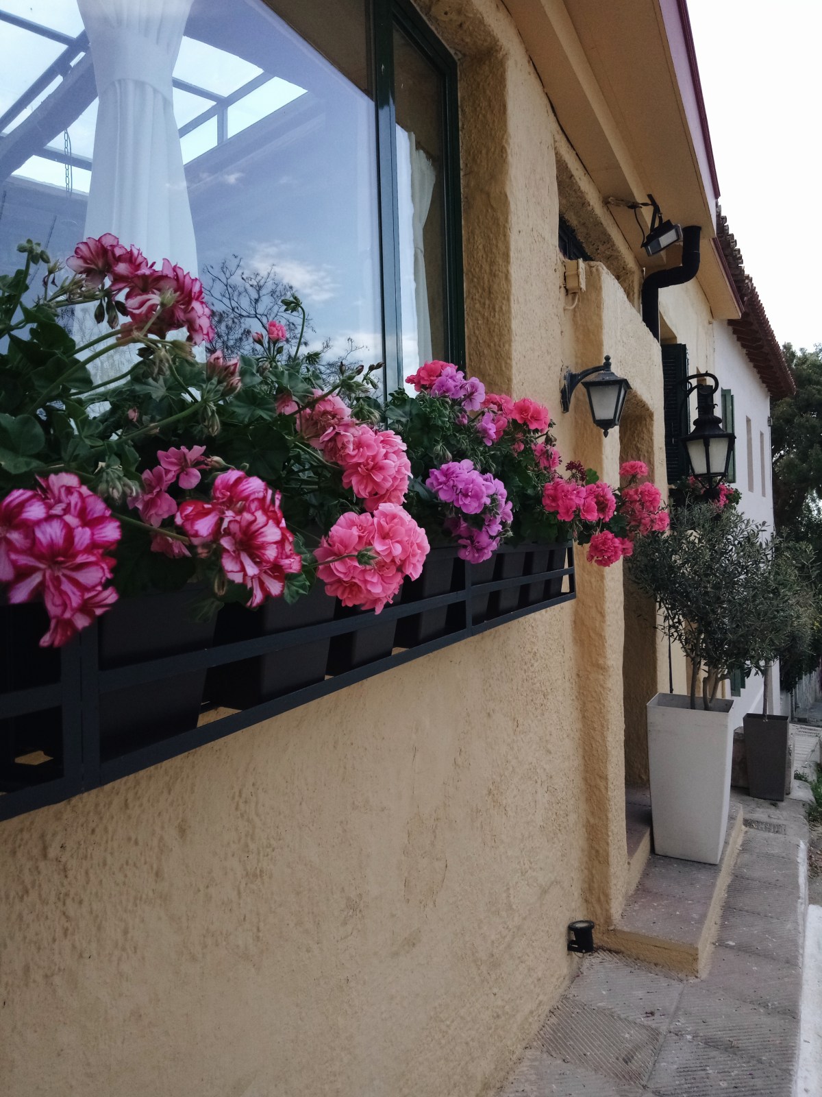 Processed with VSCO with a6 preset