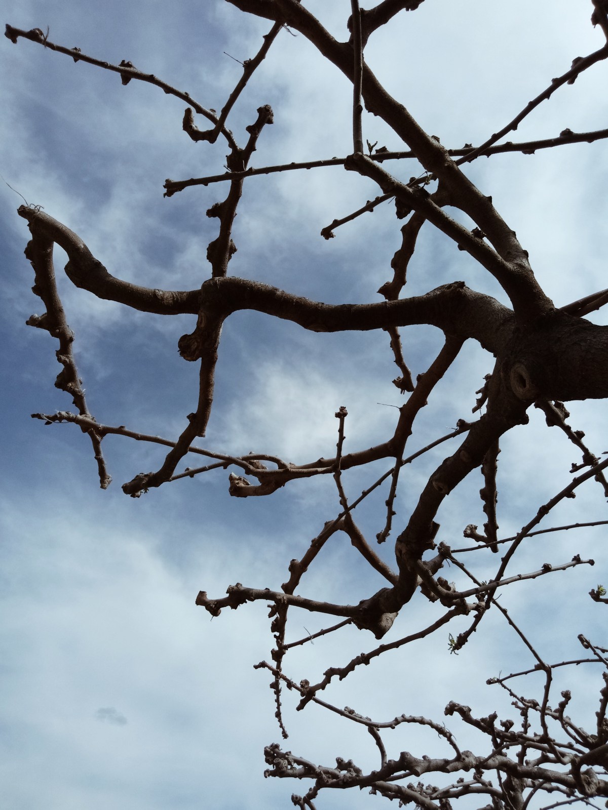 Processed with VSCO with a4 preset