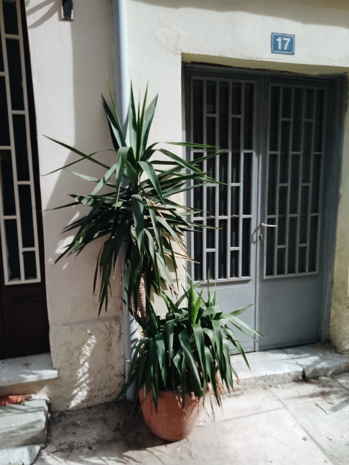 Processed with VSCO with a6 preset