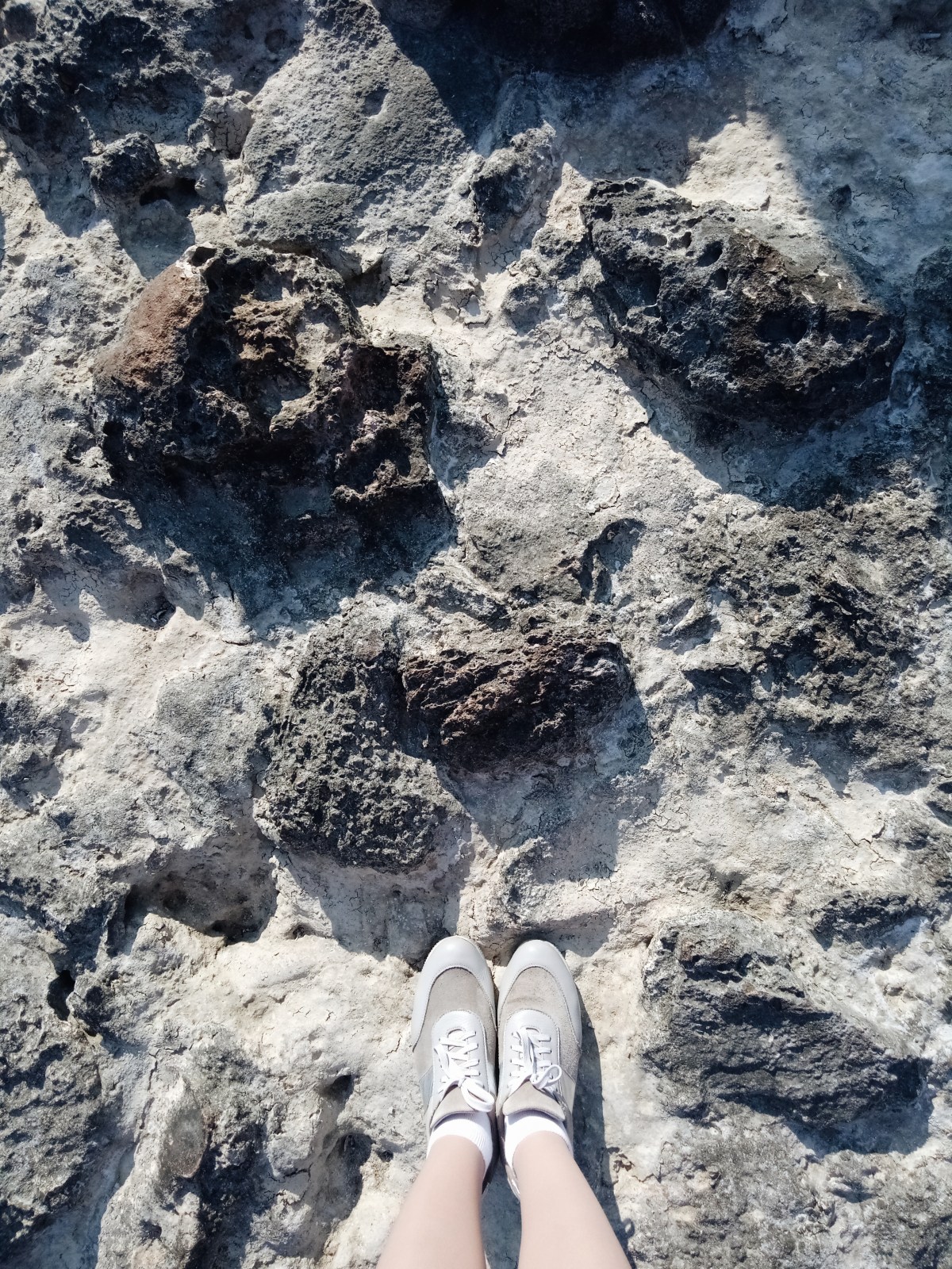 Processed with VSCO with a6 preset