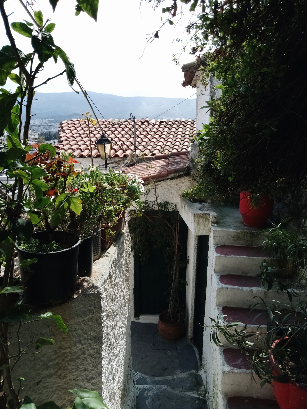 Processed with VSCO with a6 preset