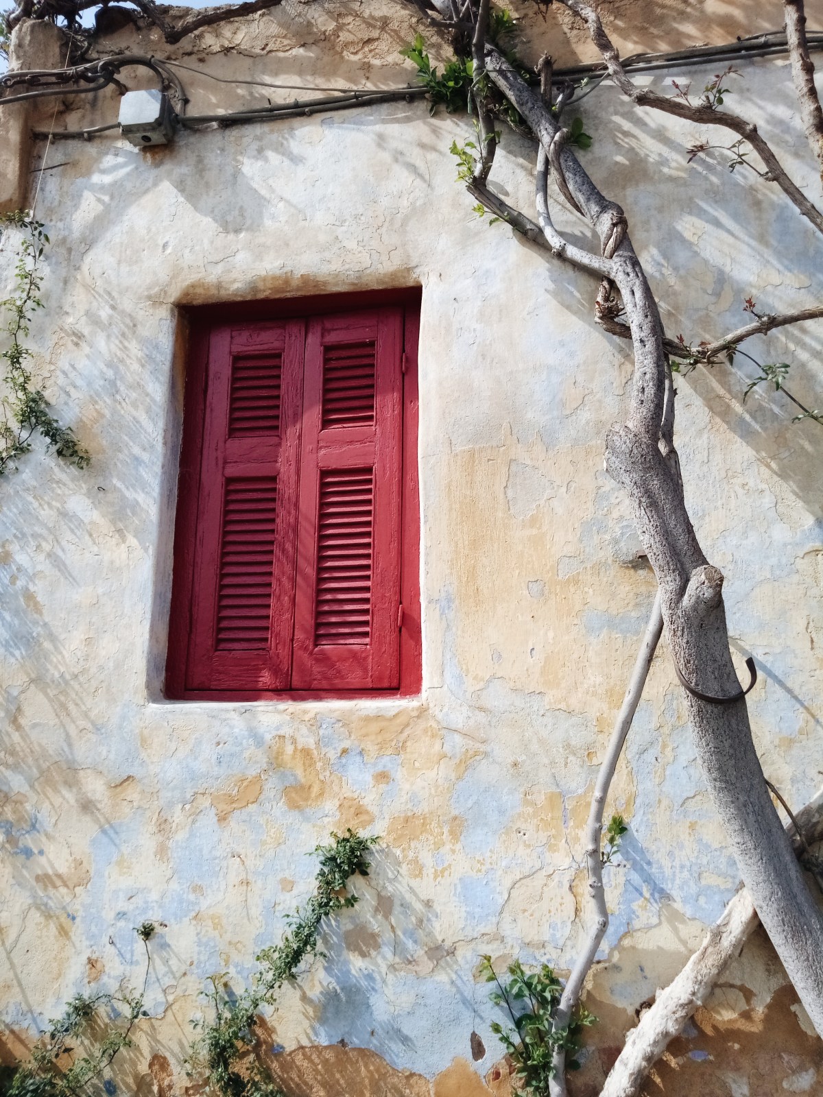 Processed with VSCO with a6 preset