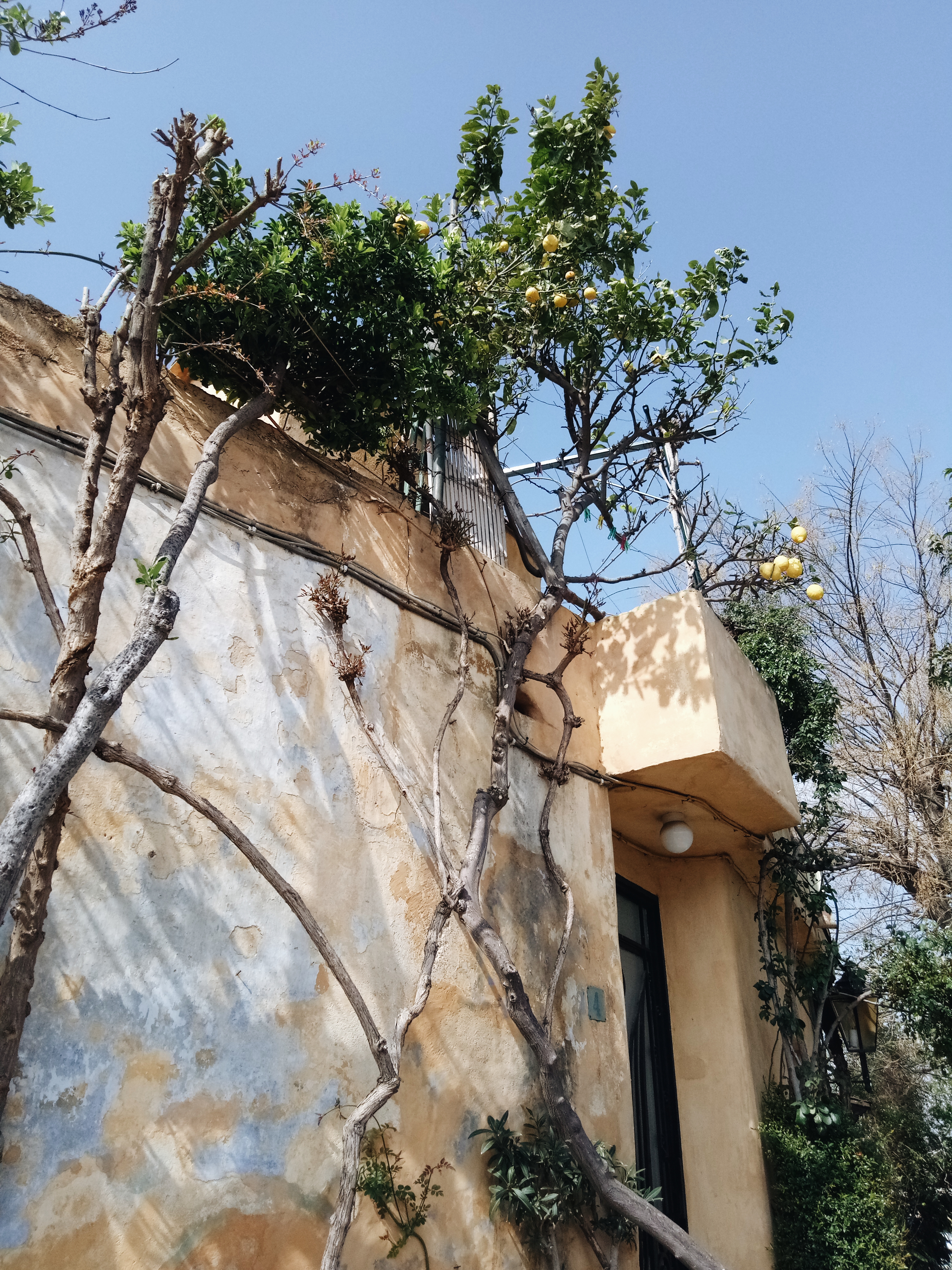 Processed with VSCO with a6 preset