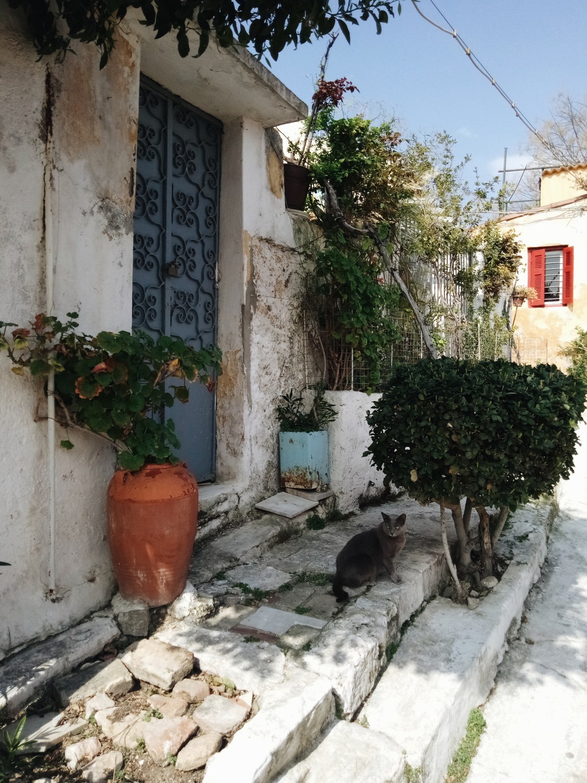 Processed with VSCO with a6 preset