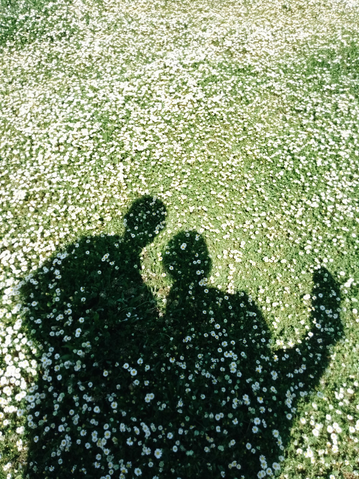 Processed with VSCO with a6 preset