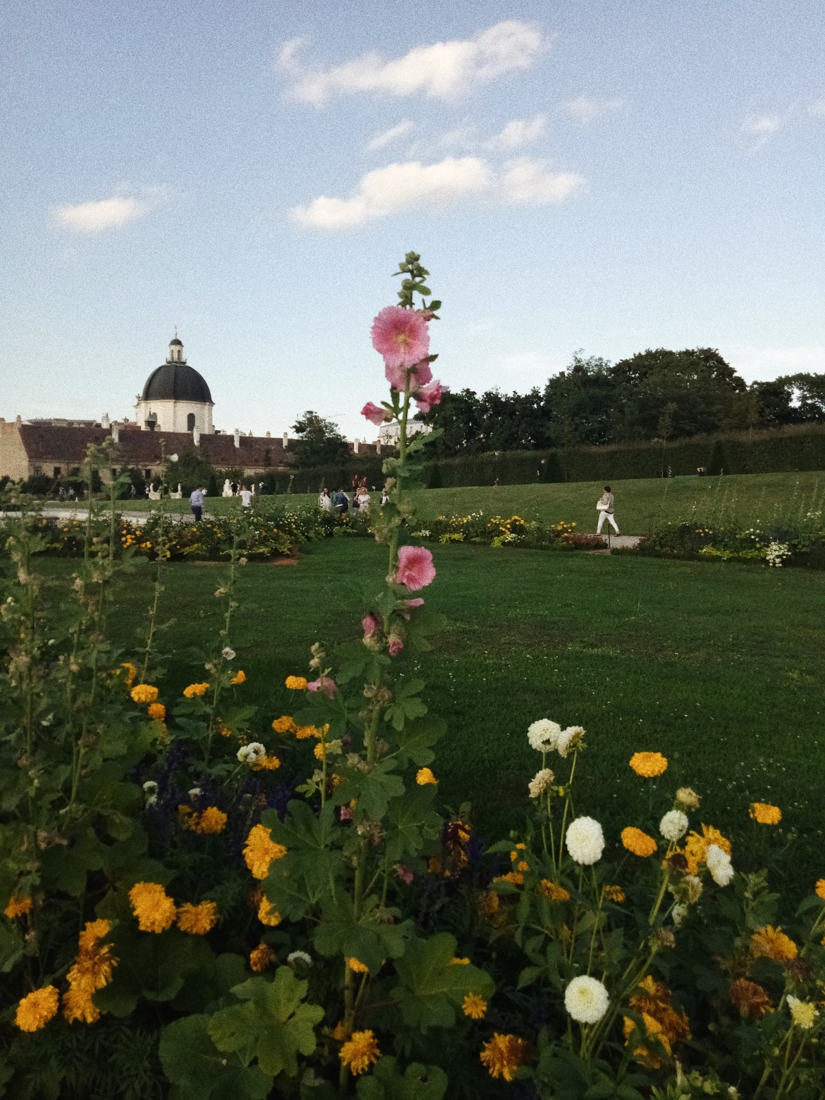 Processed with VSCO with a6 preset