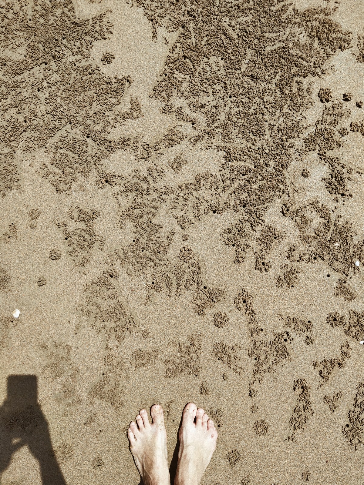 Processed with VSCO with a4 preset