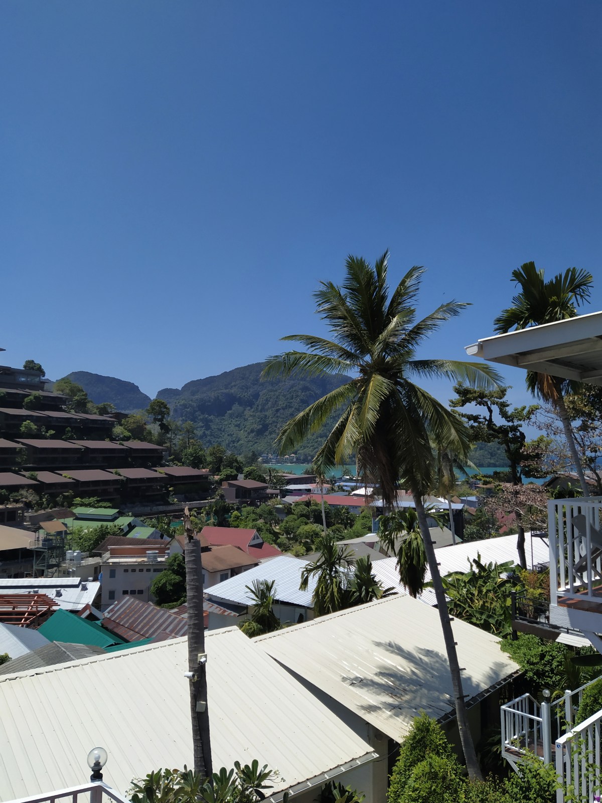 Processed with VSCO with a6 preset