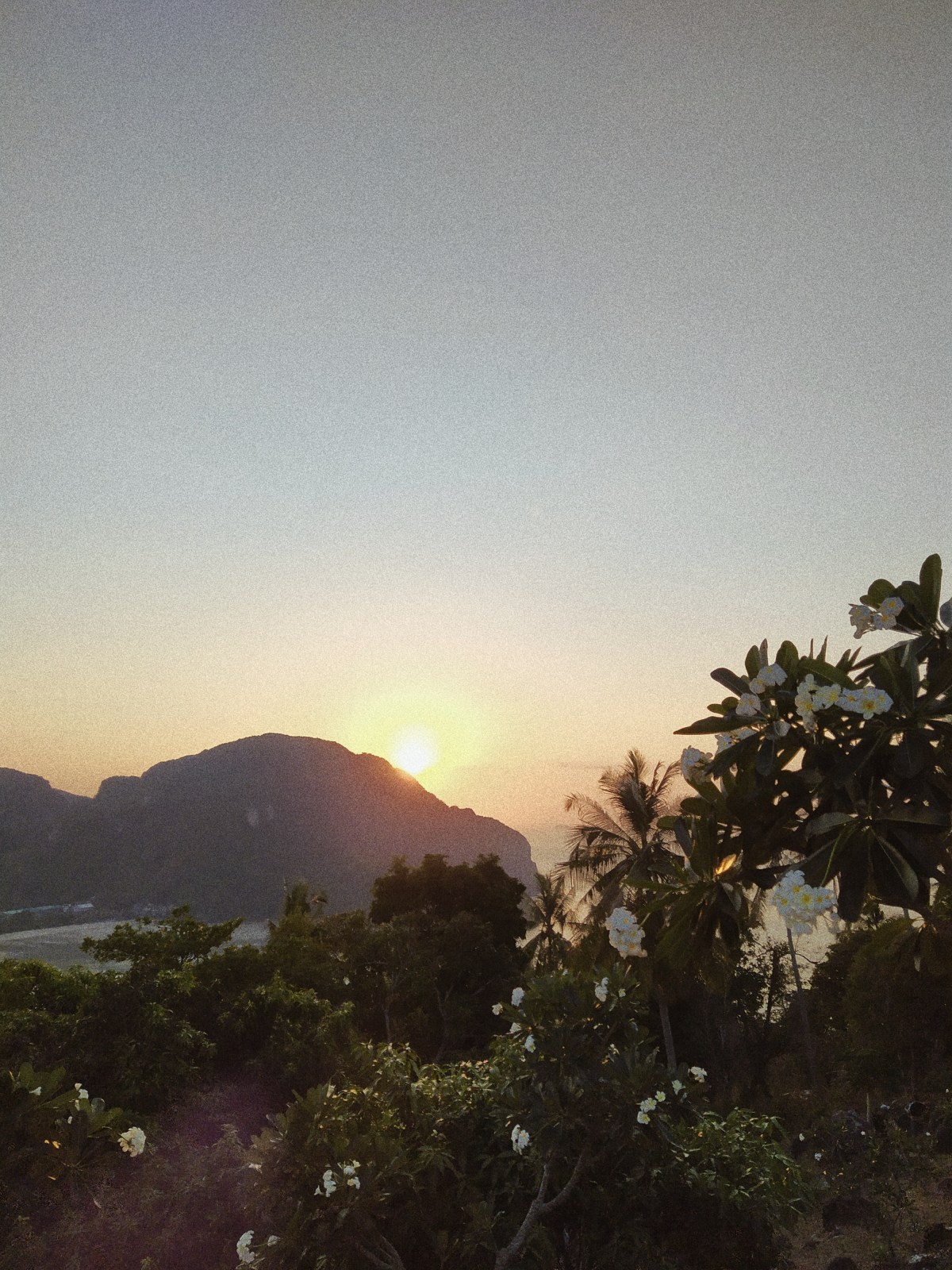 Processed with VSCO with a4 preset