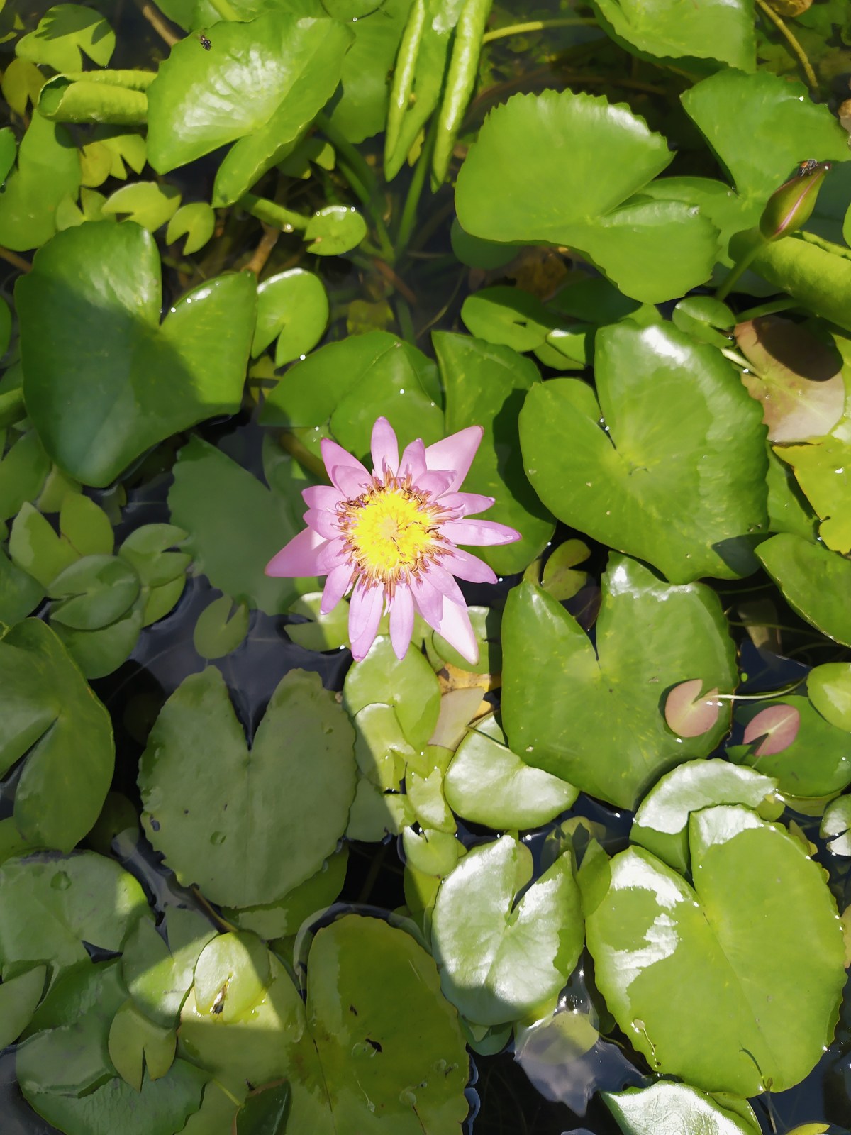 Processed with VSCO with a6 preset