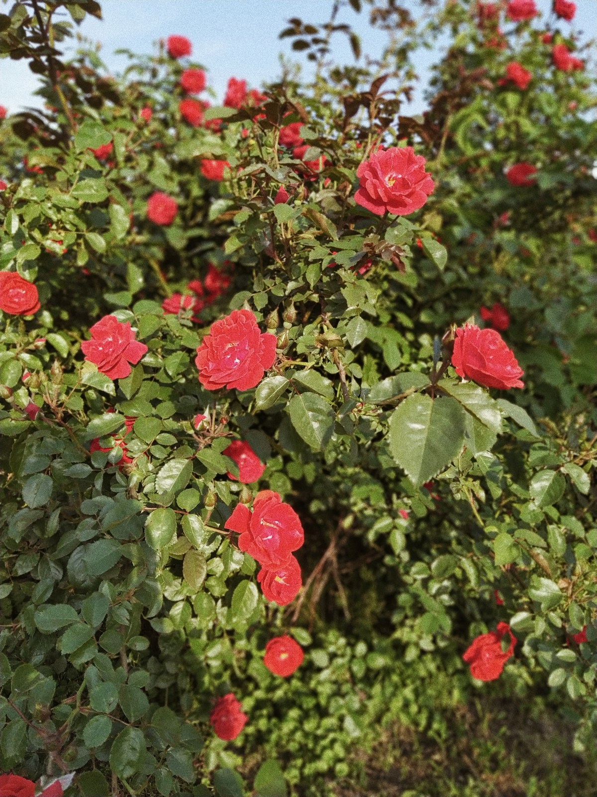 Processed with VSCO with a4 preset