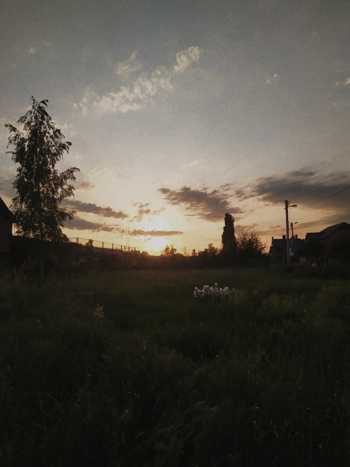 Processed with VSCO with m5 preset