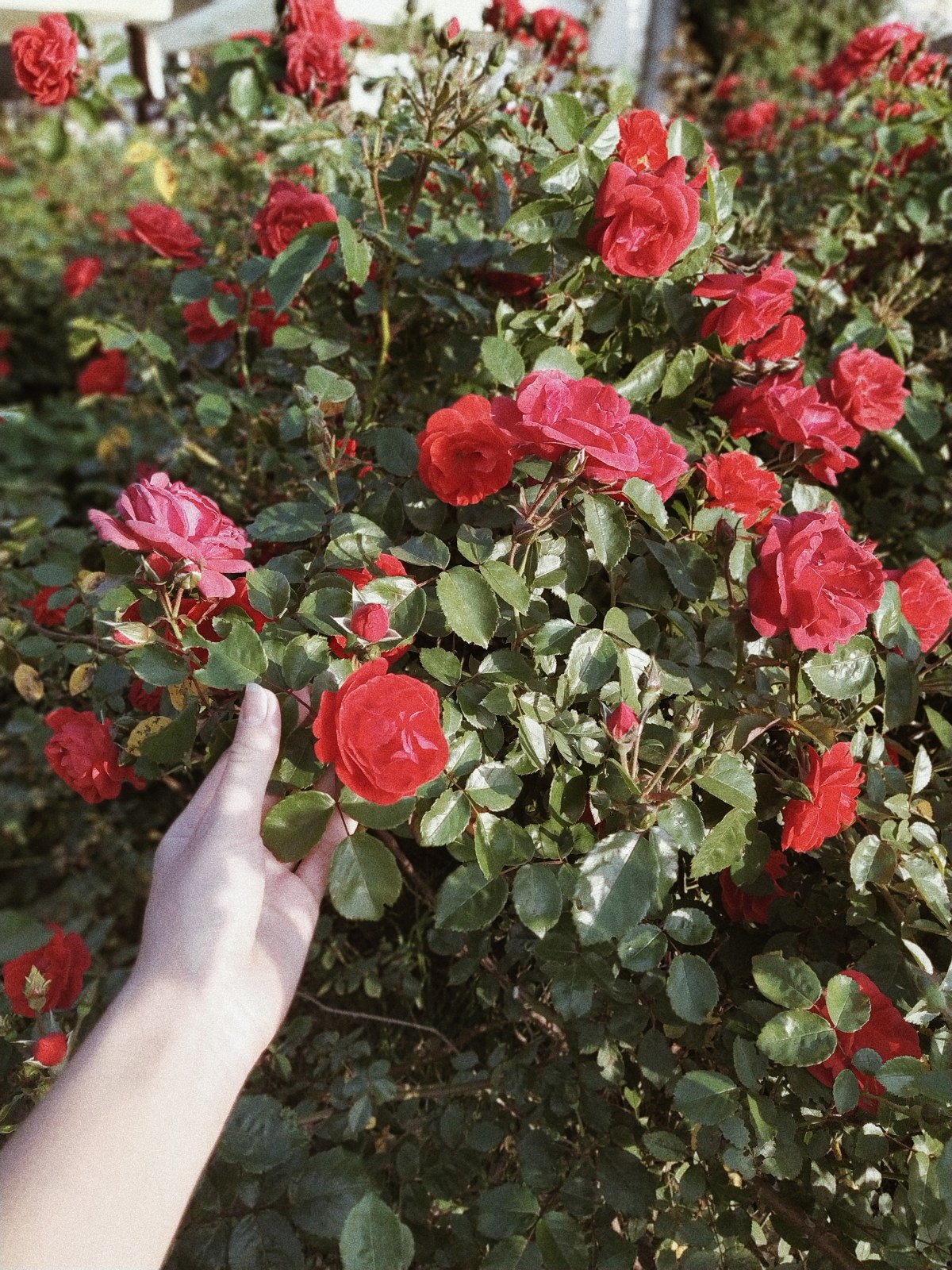 Processed with VSCO with a4 preset