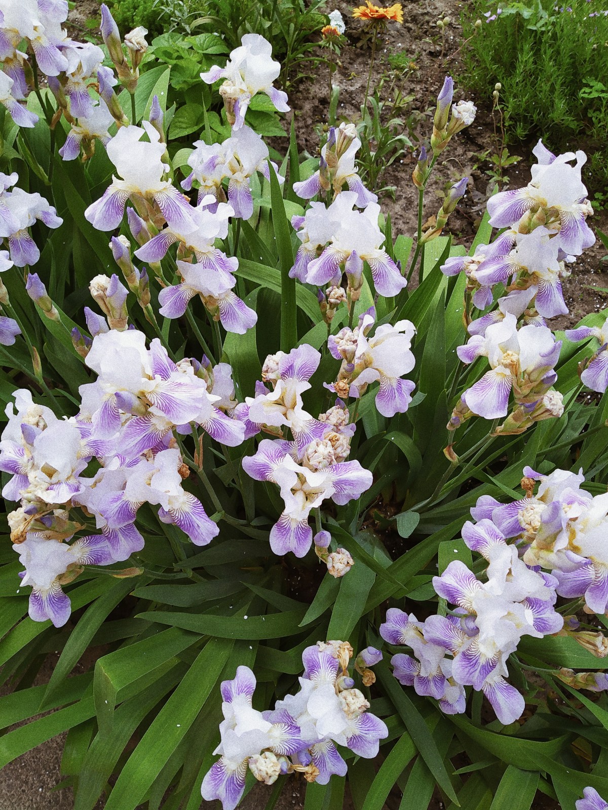 Processed with VSCO with a4 preset