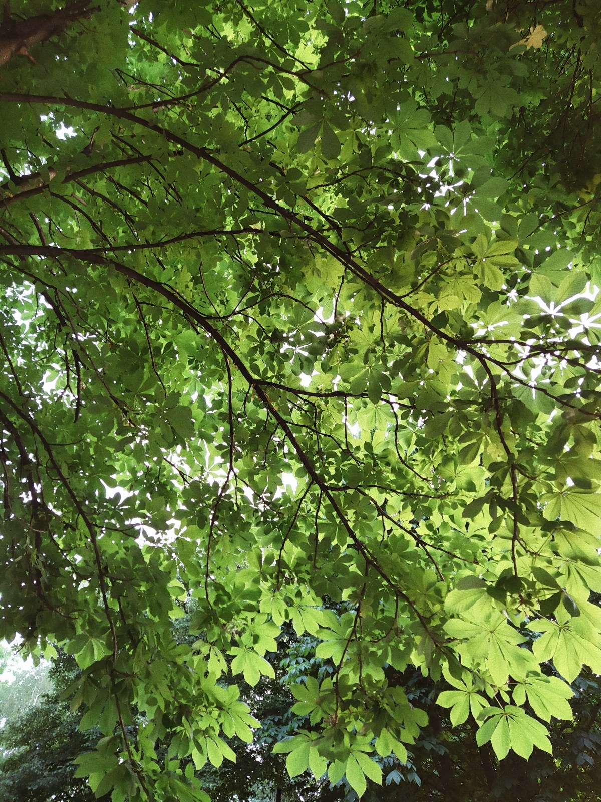 Processed with VSCO with a4 preset