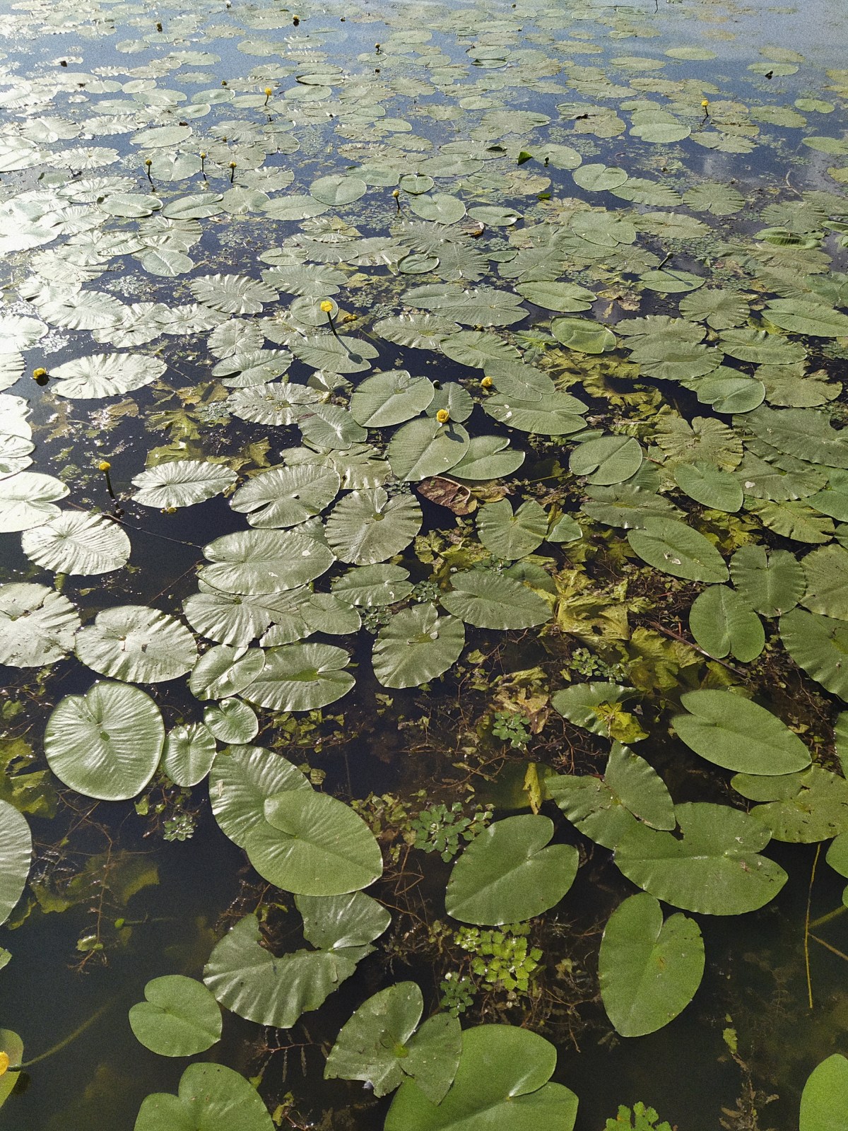 Processed with VSCO with a4 preset