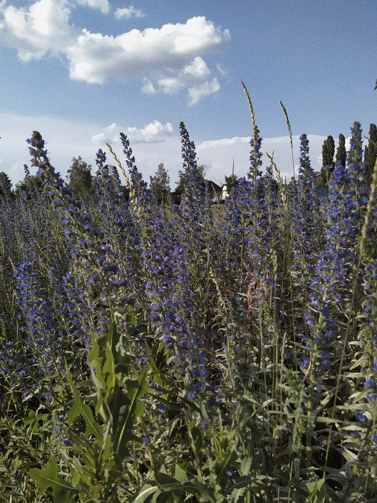 Processed with VSCO with a4 preset