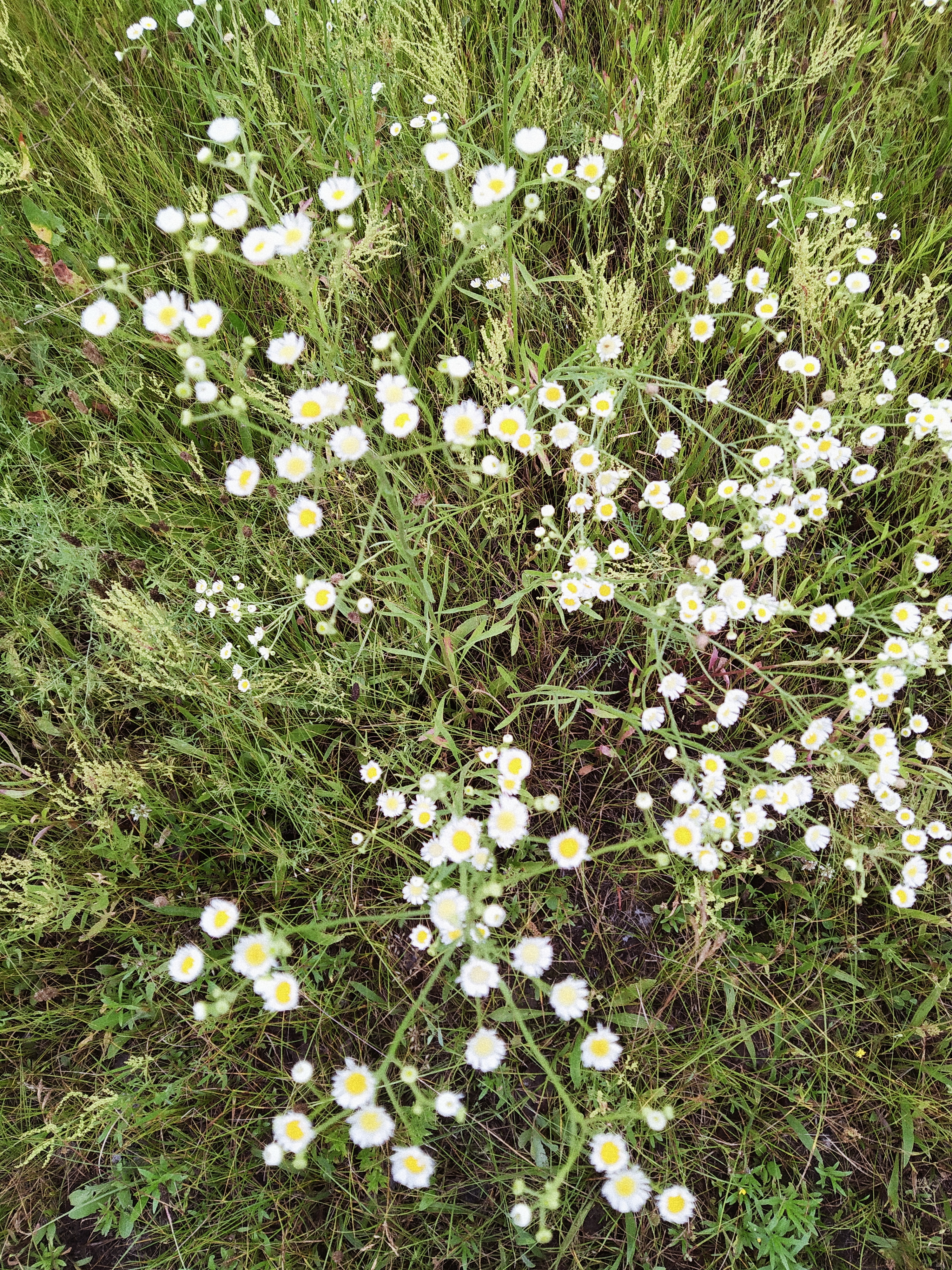 Processed with VSCO with a4 preset