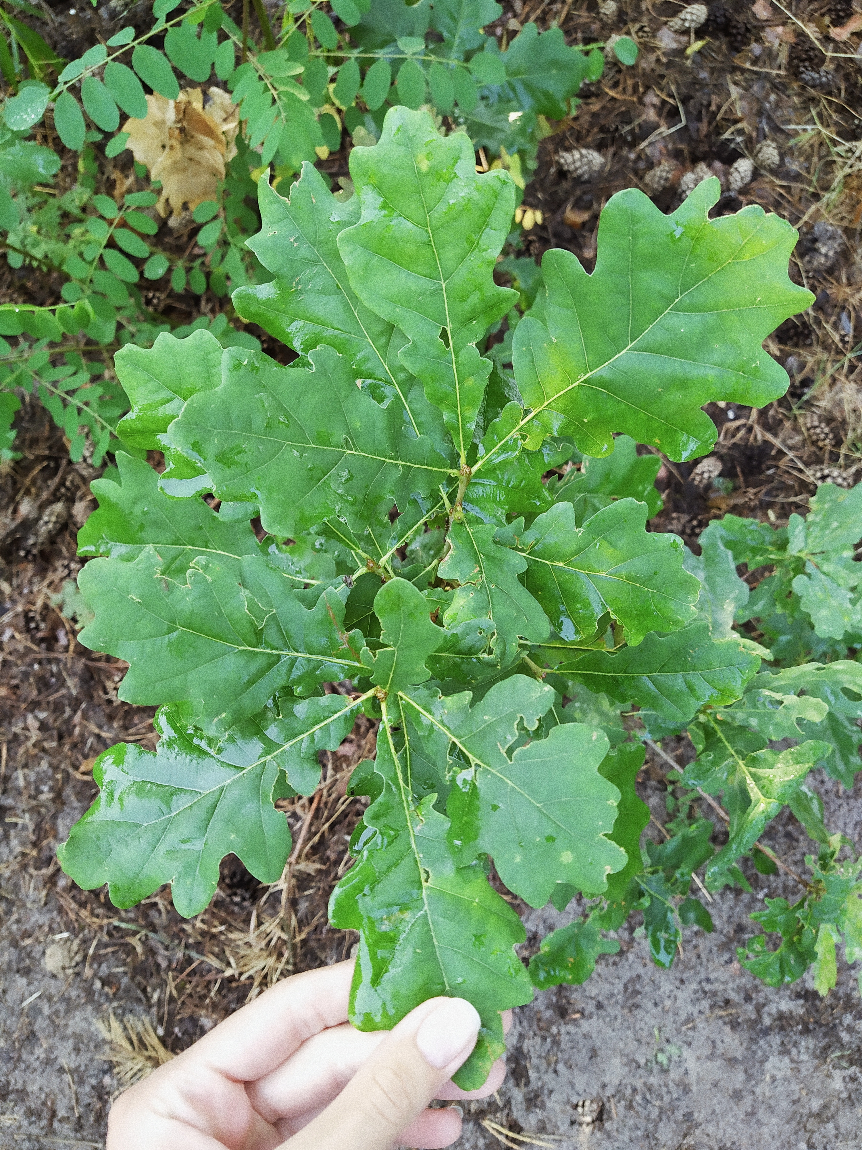 Processed with VSCO with a4 preset