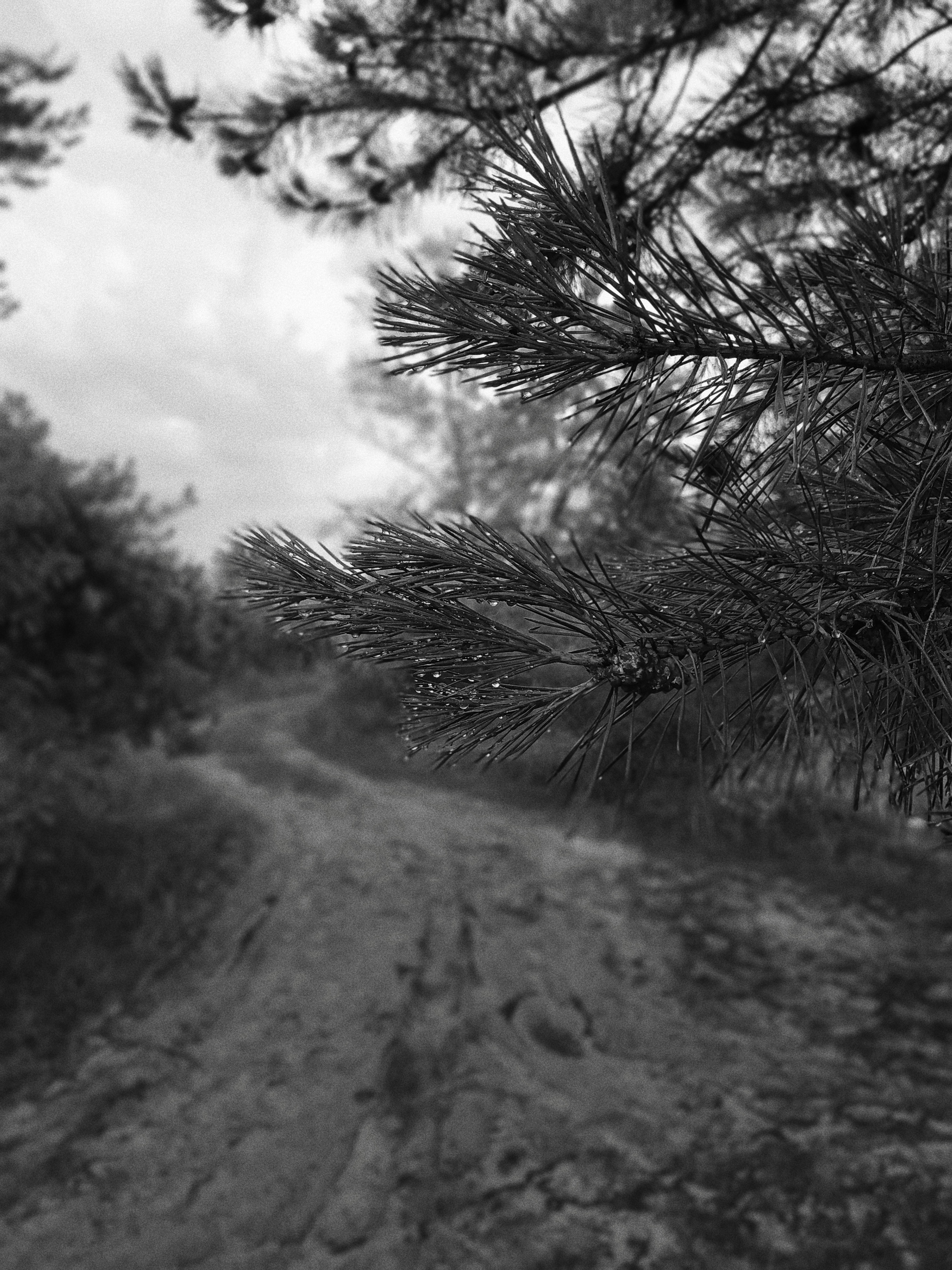 Processed with VSCO with b1 preset