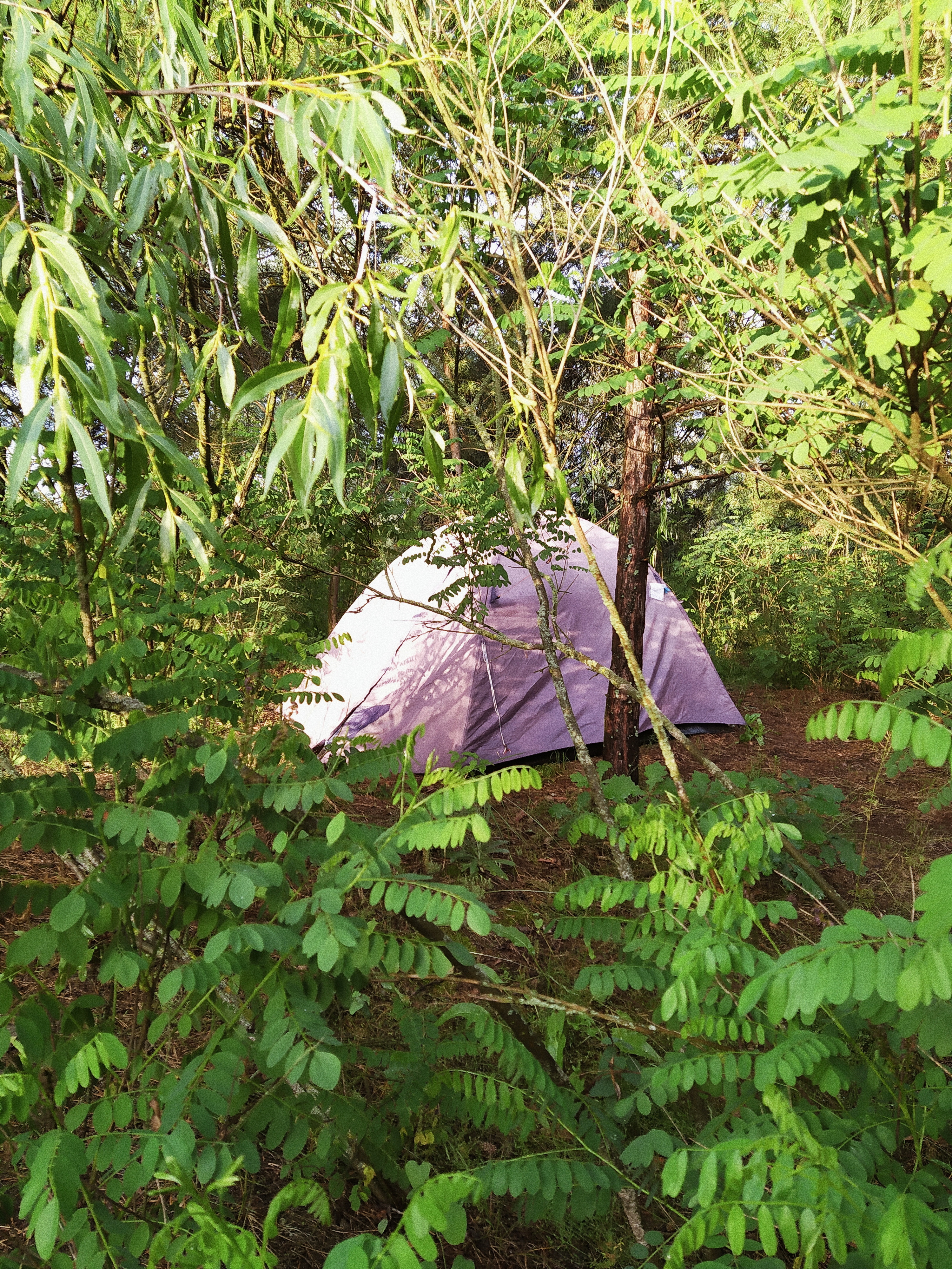 Processed with VSCO with a4 preset