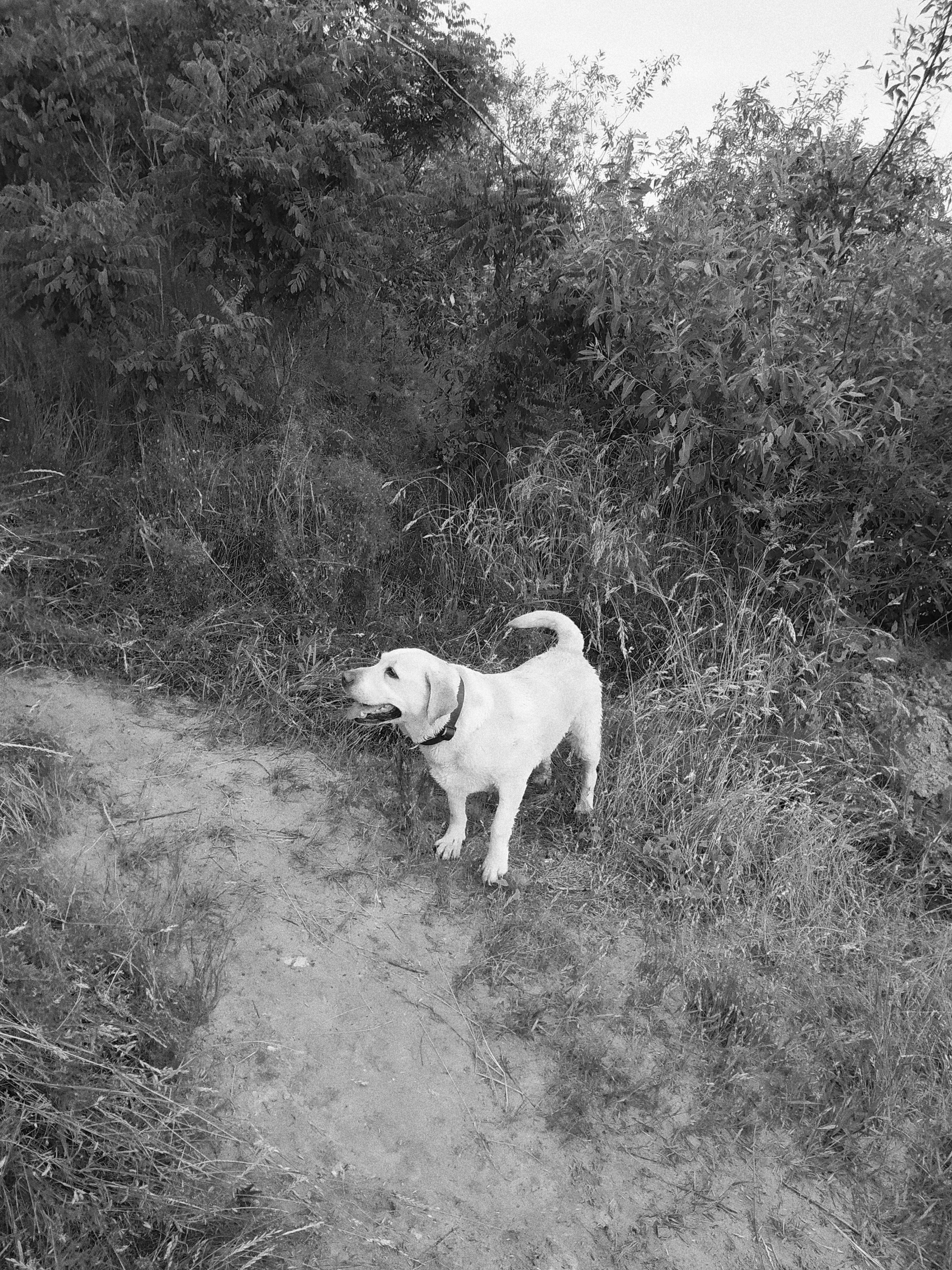 Processed with VSCO with b1 preset