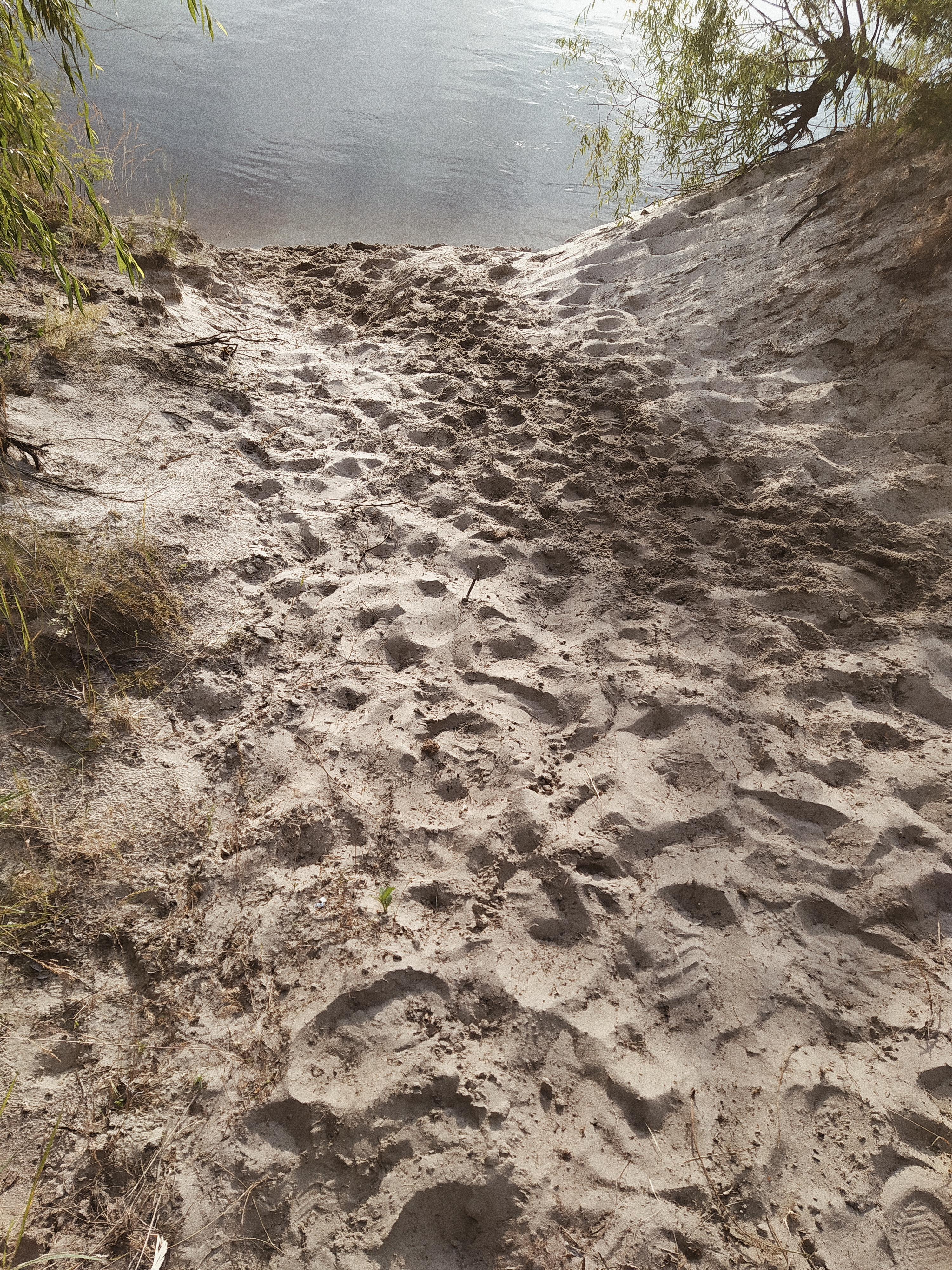 Processed with VSCO with a4 preset