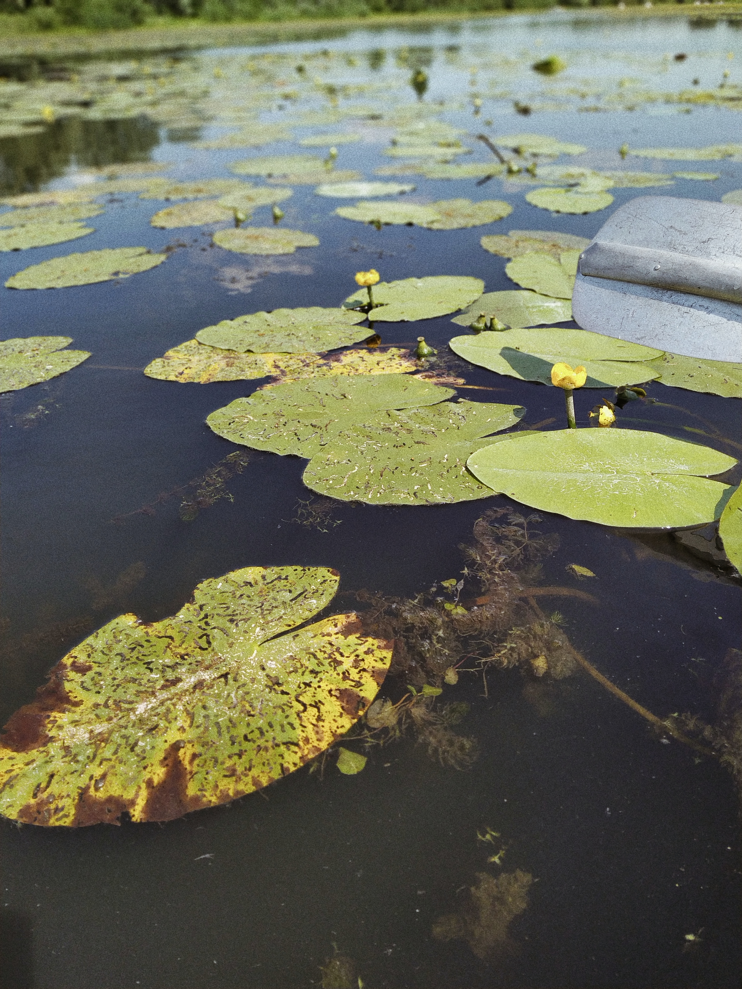 Processed with VSCO with a4 preset