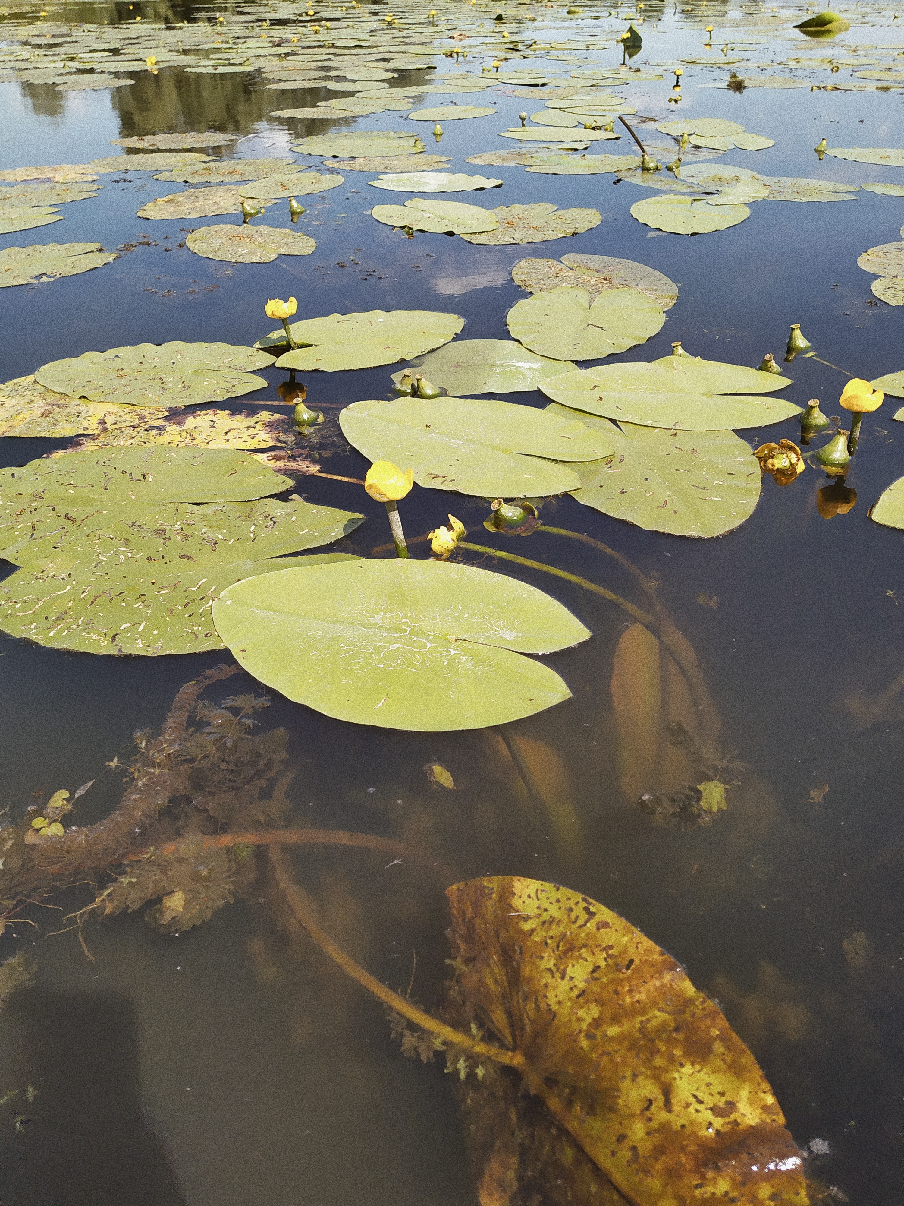 Processed with VSCO with a4 preset