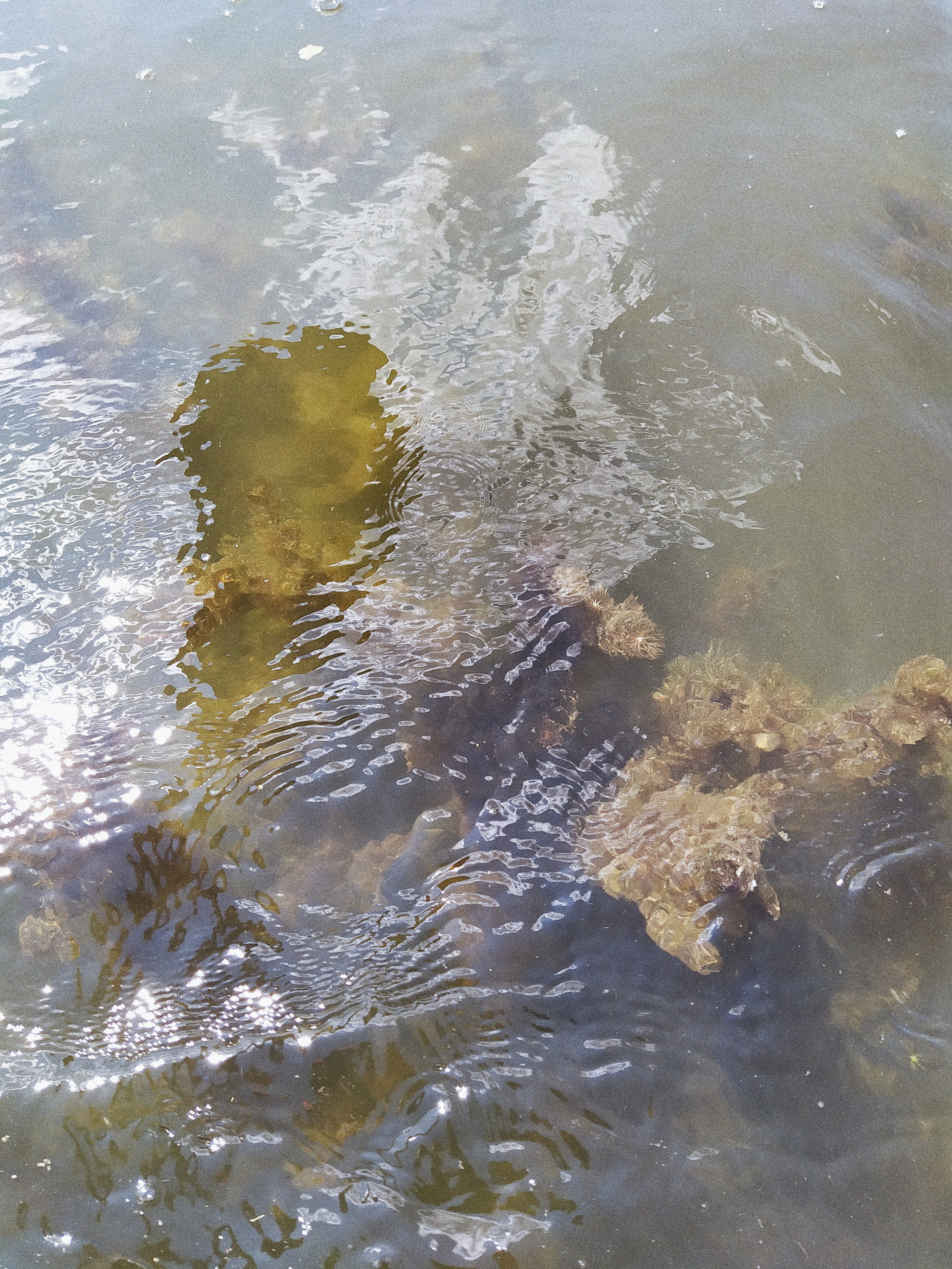 Processed with VSCO with a4 preset