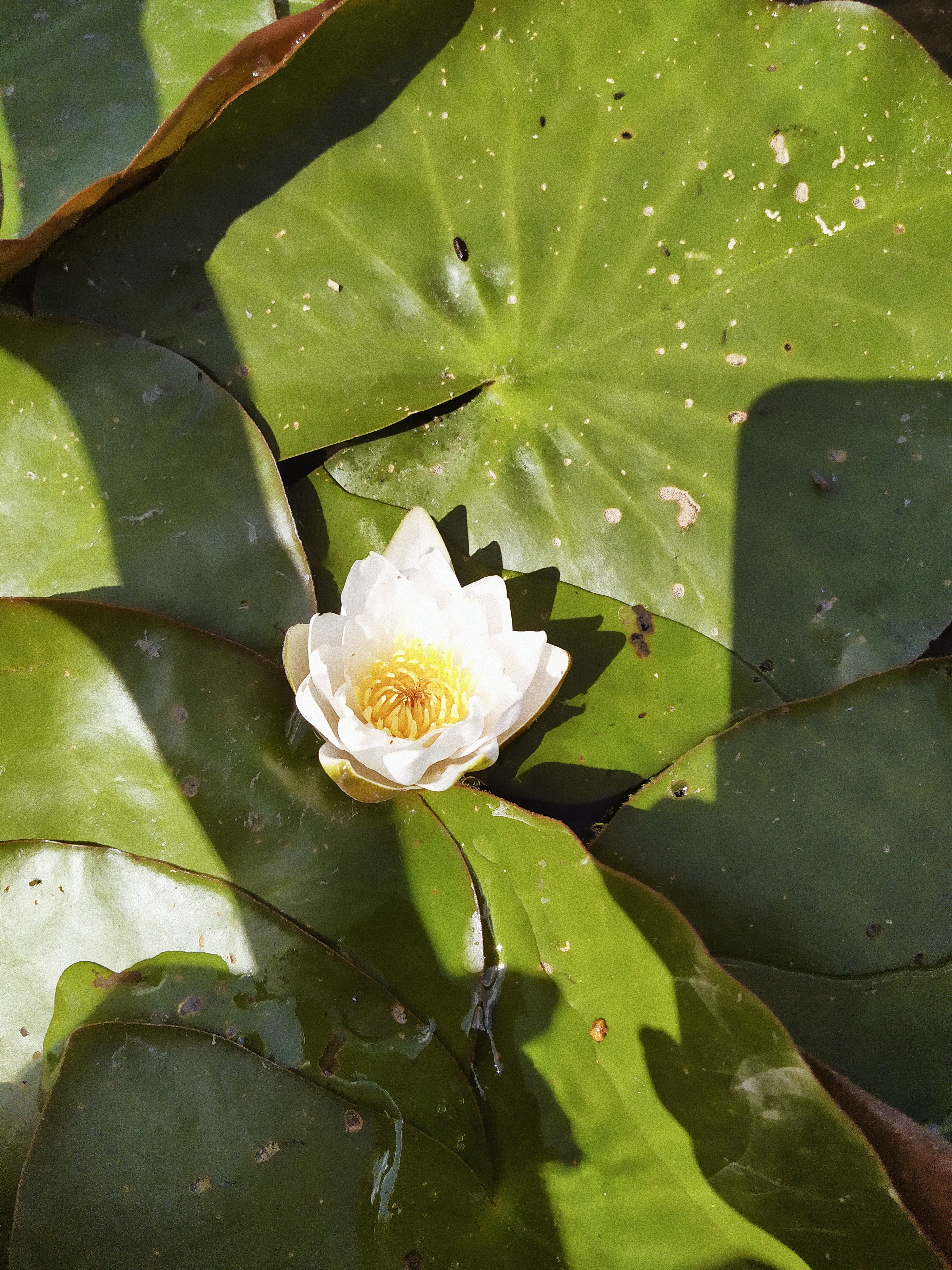 Processed with VSCO with a4 preset