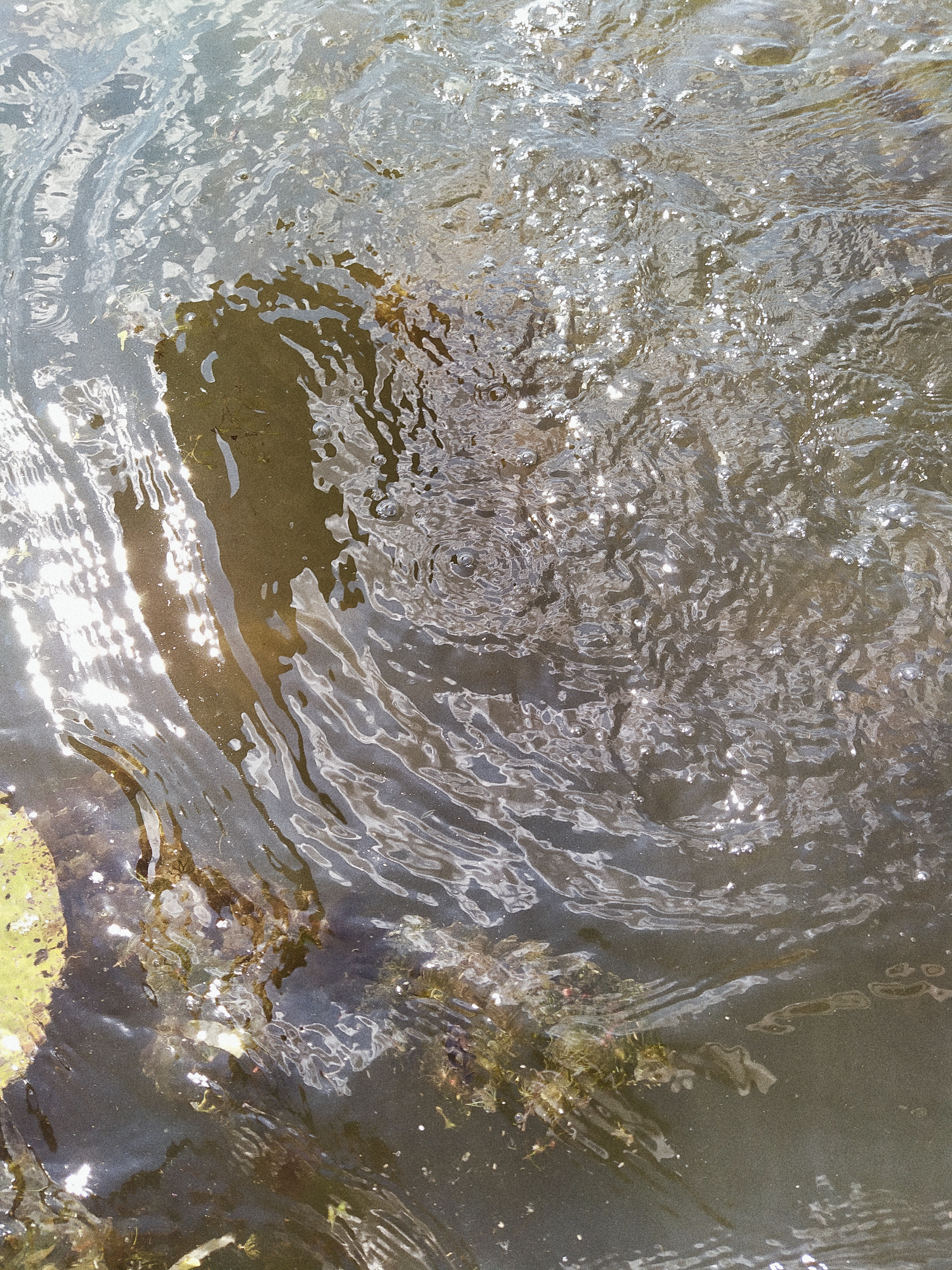 Processed with VSCO with a4 preset