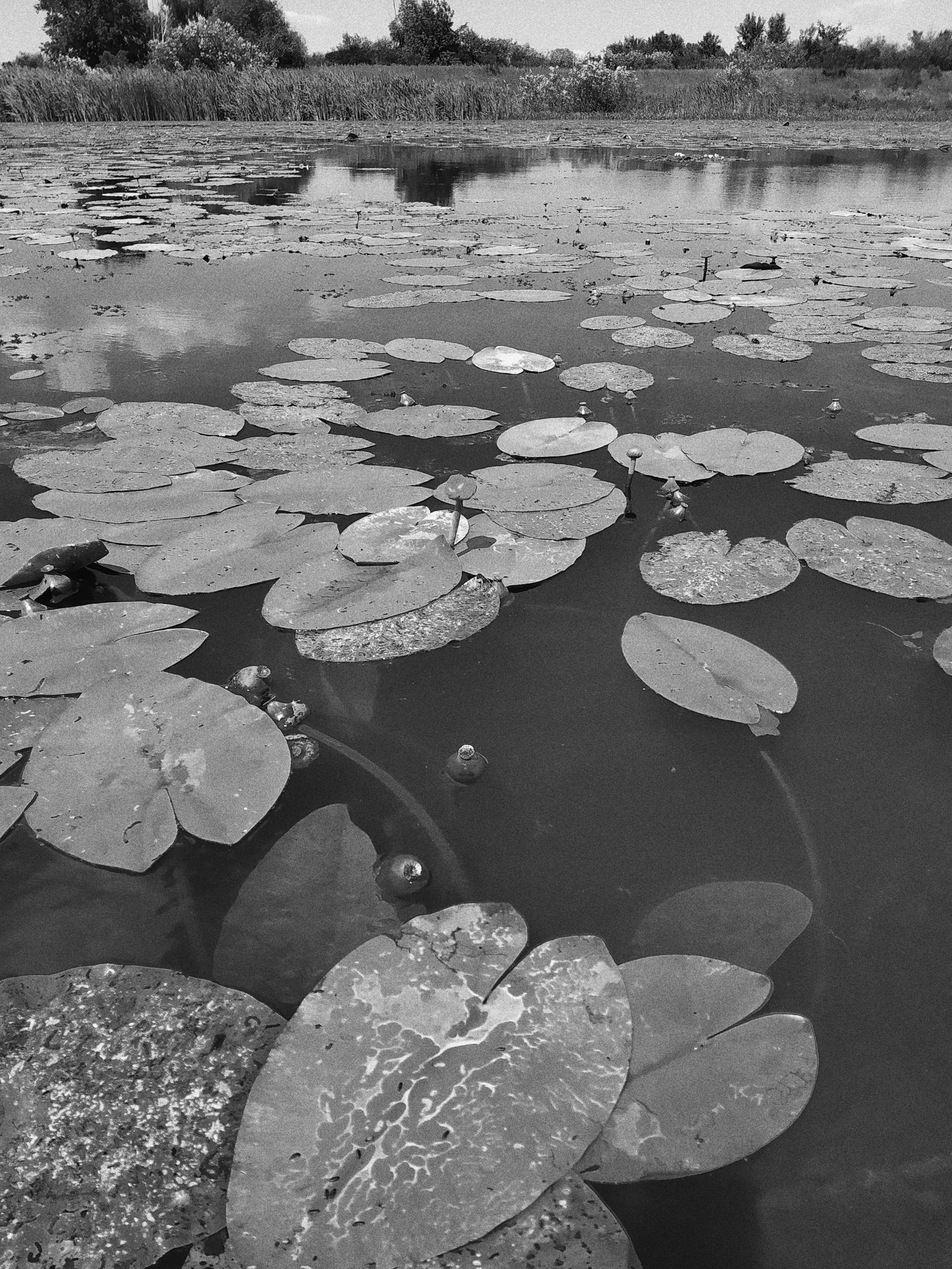 Processed with VSCO with b1 preset