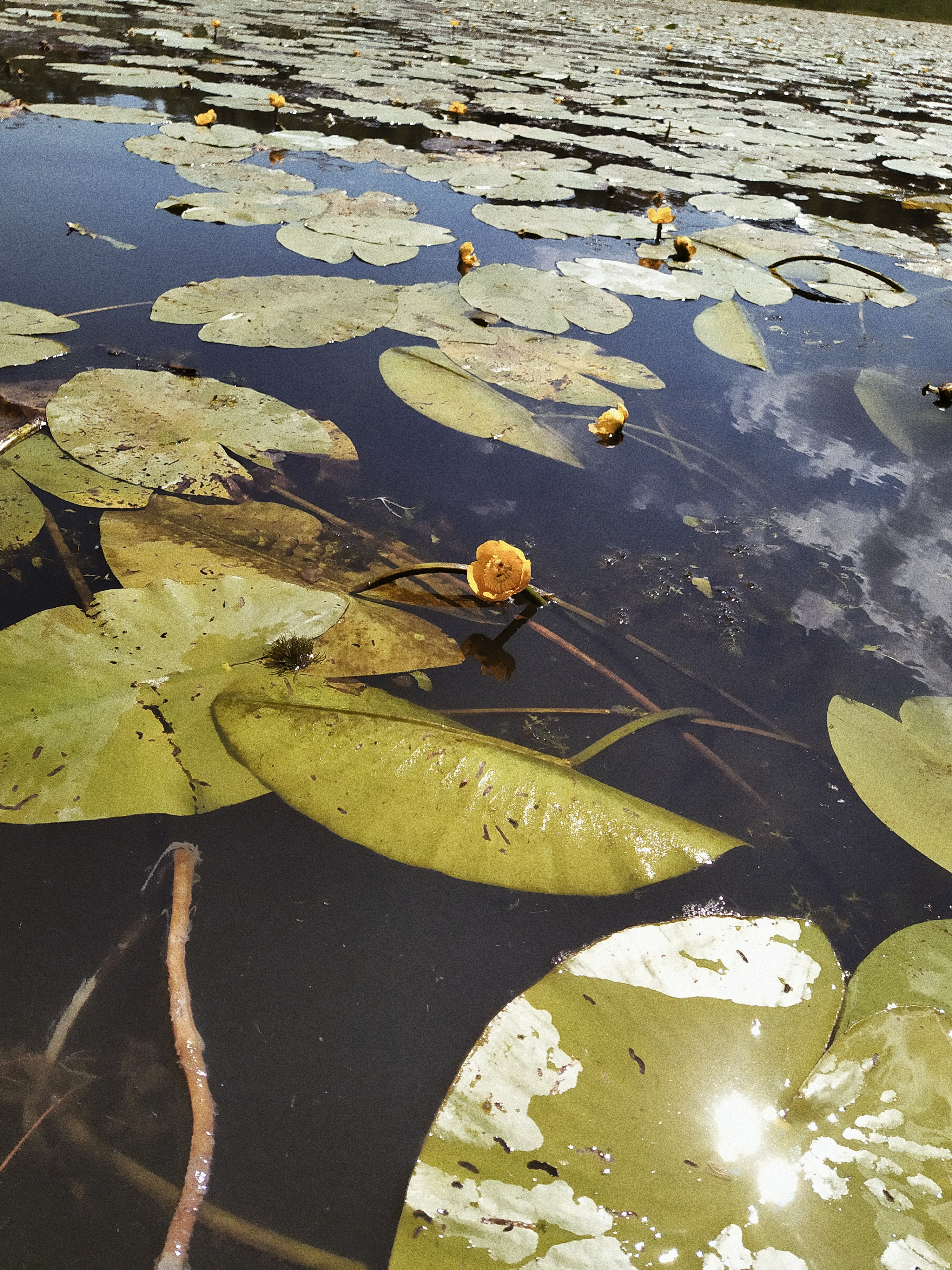 Processed with VSCO with a4 preset