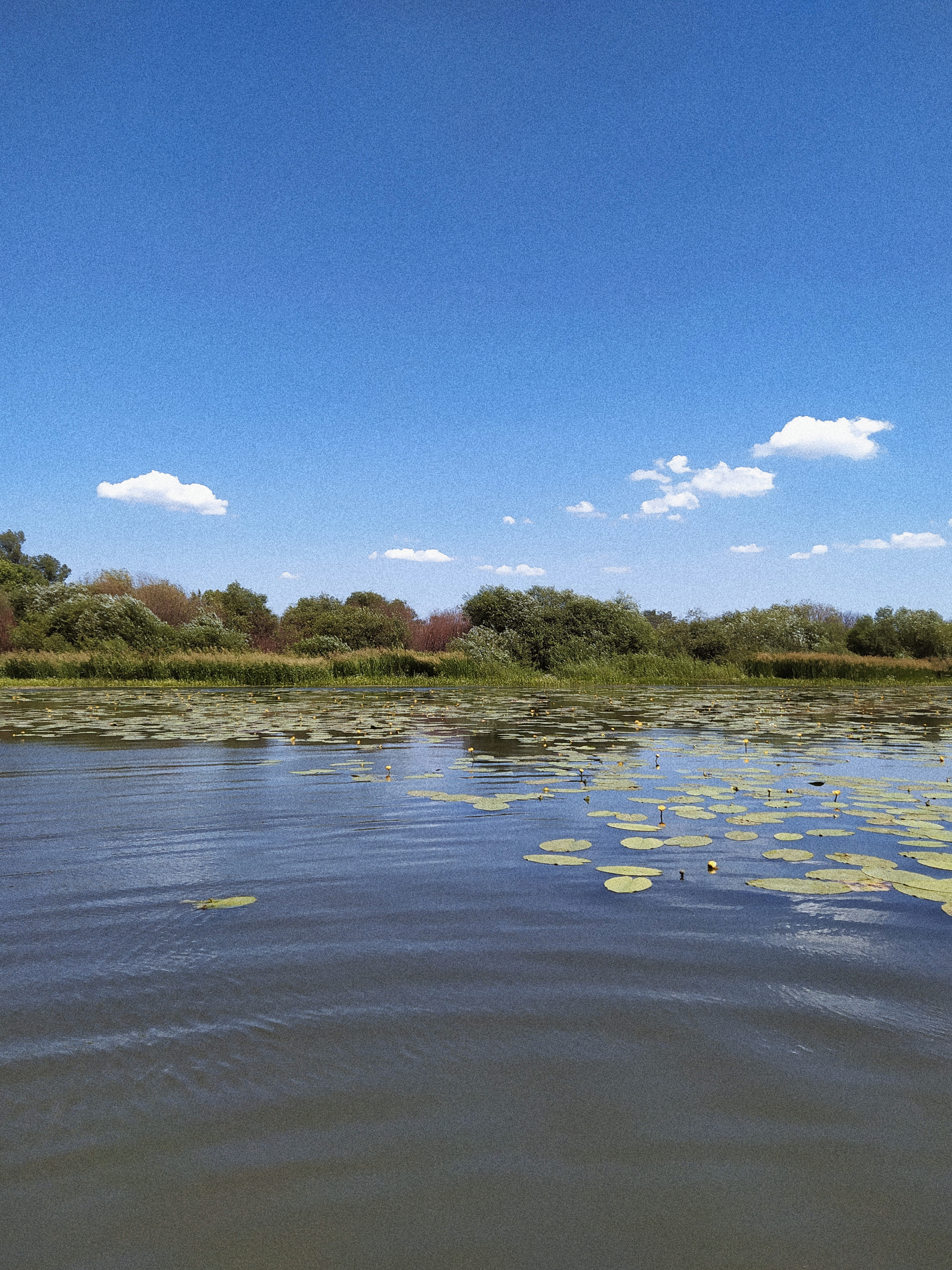 Processed with VSCO with a4 preset