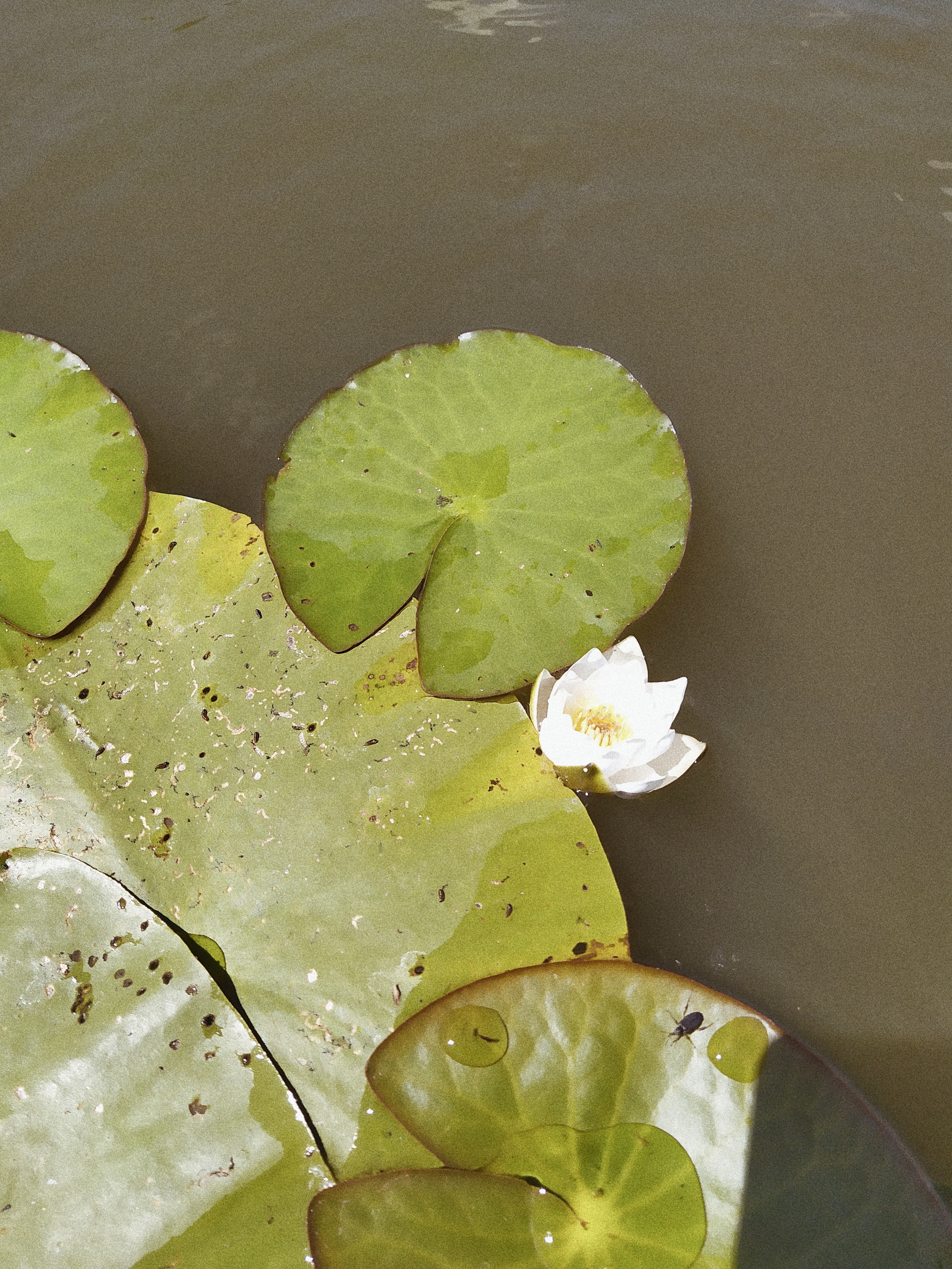 Processed with VSCO with a4 preset