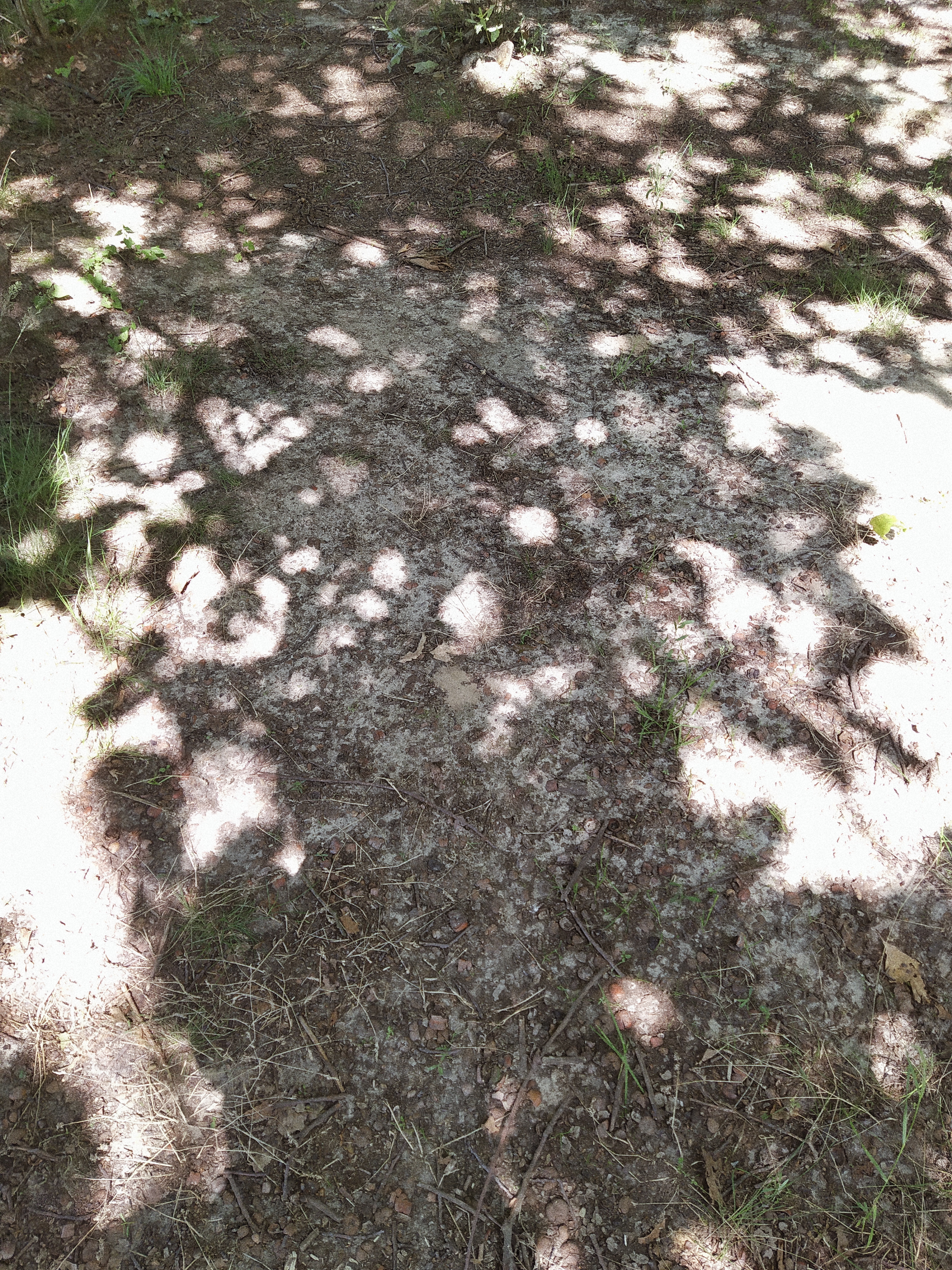 Processed with VSCO with a4 preset